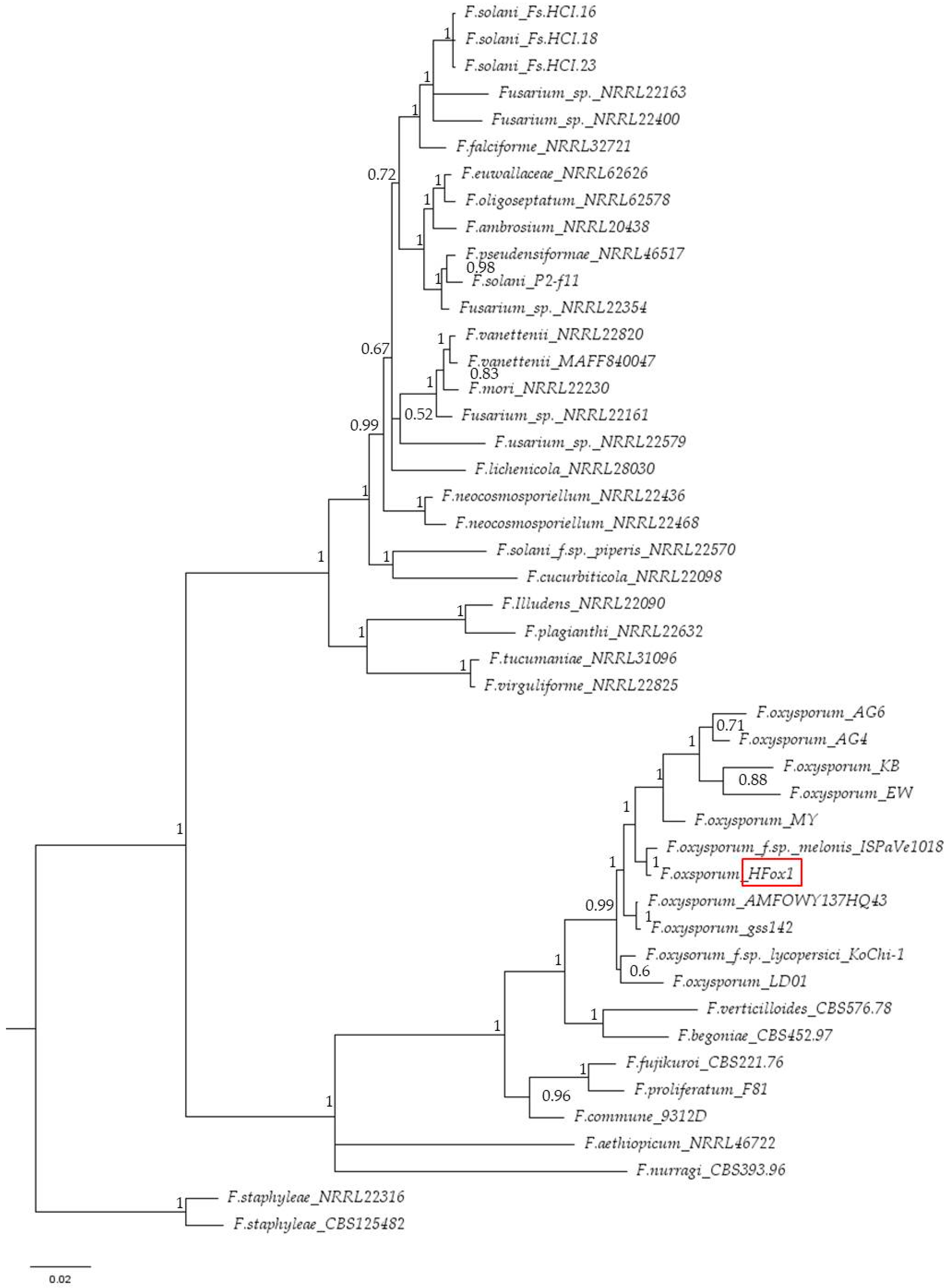 Plants 12 03305 g003