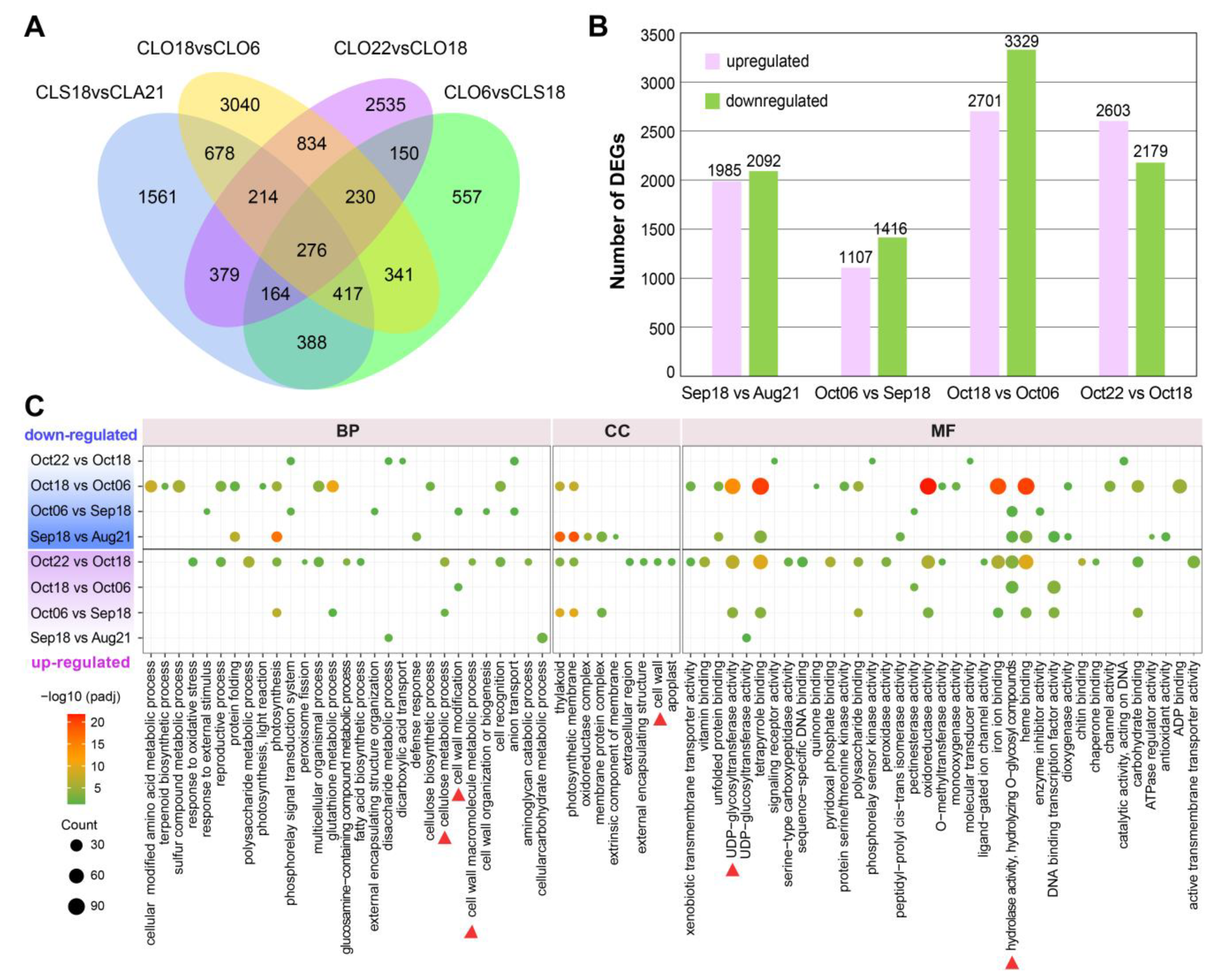 Plants 12 03314 g002