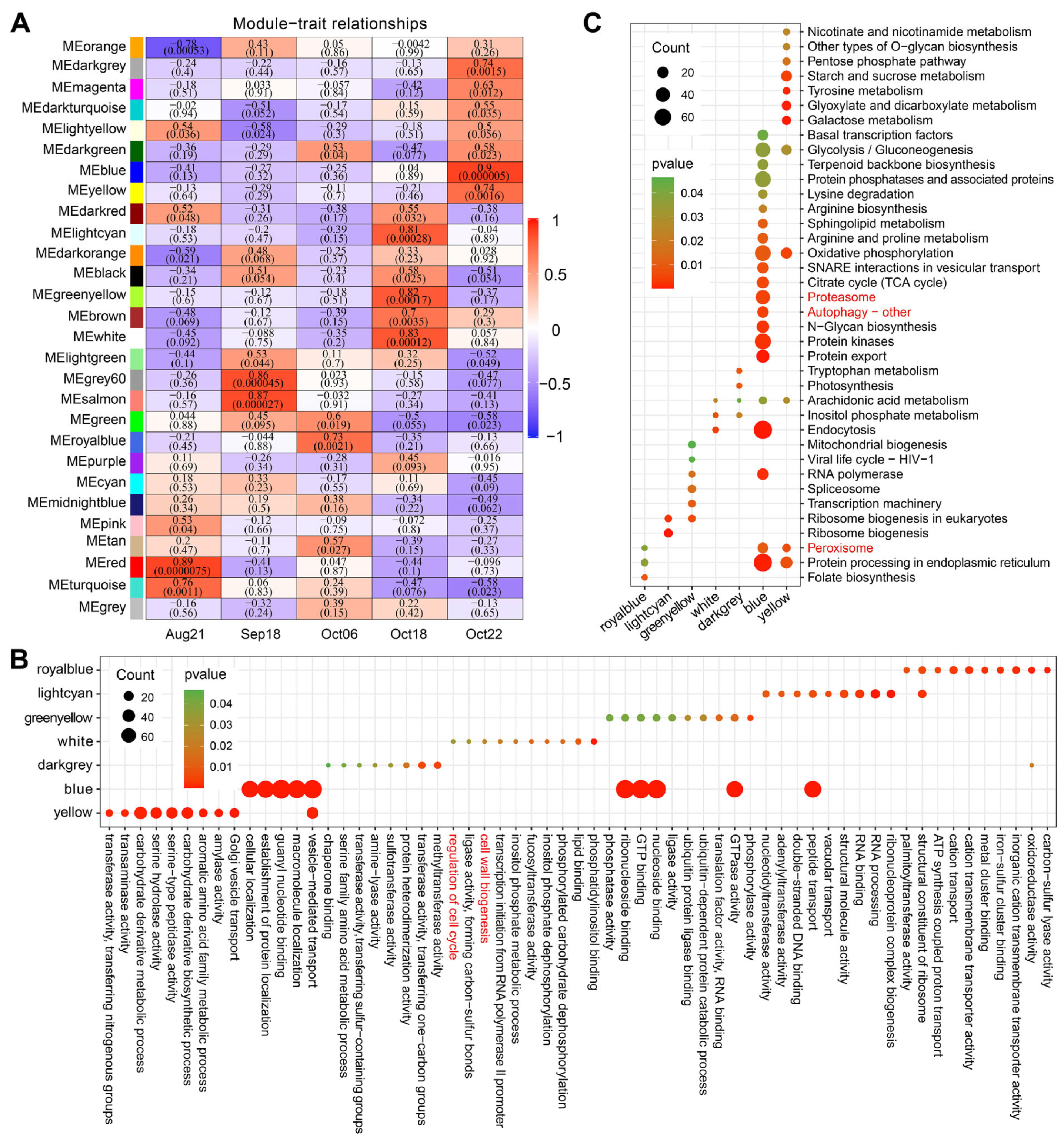 Plants 12 03314 g004