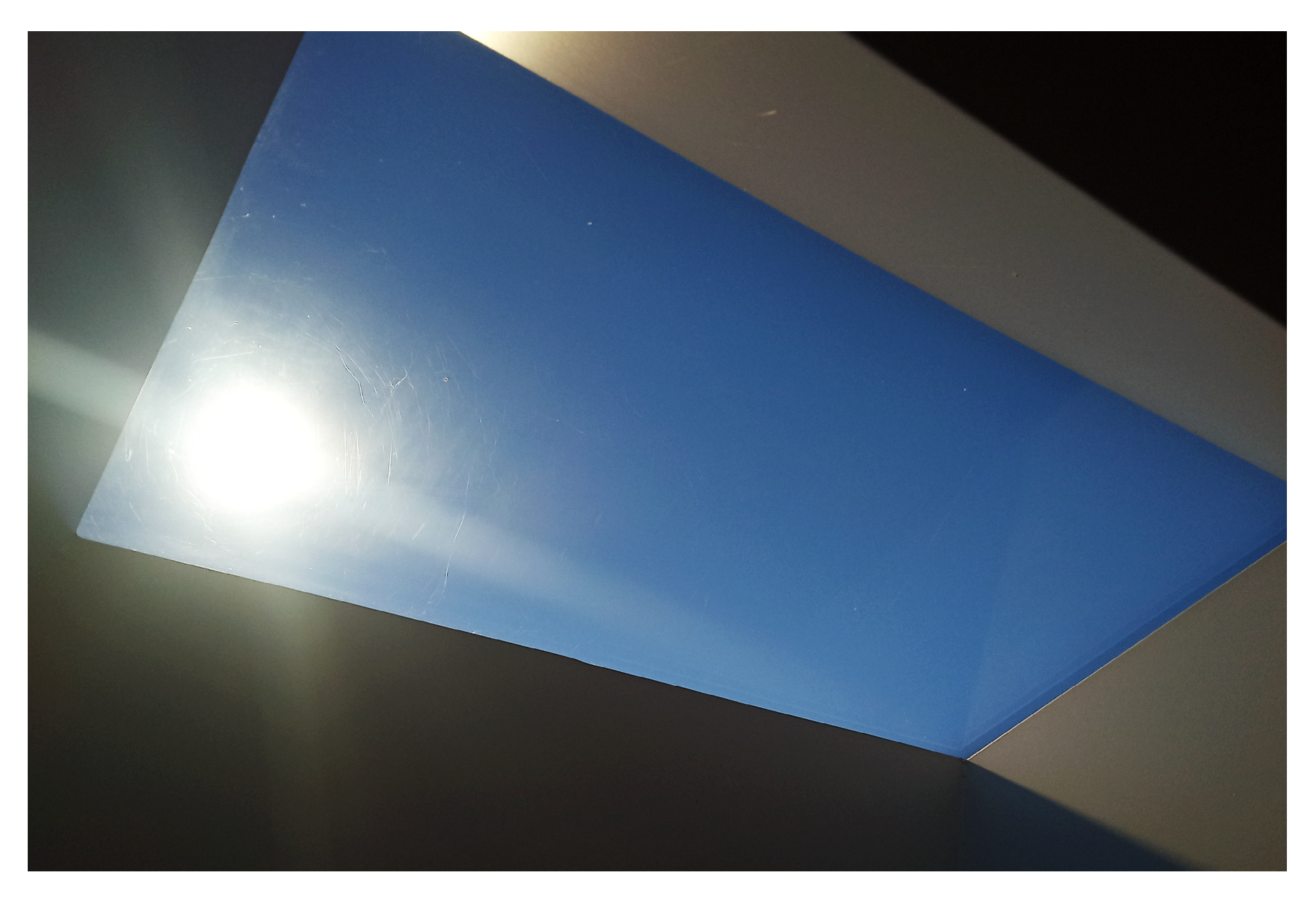 Plants 12 03319 g001