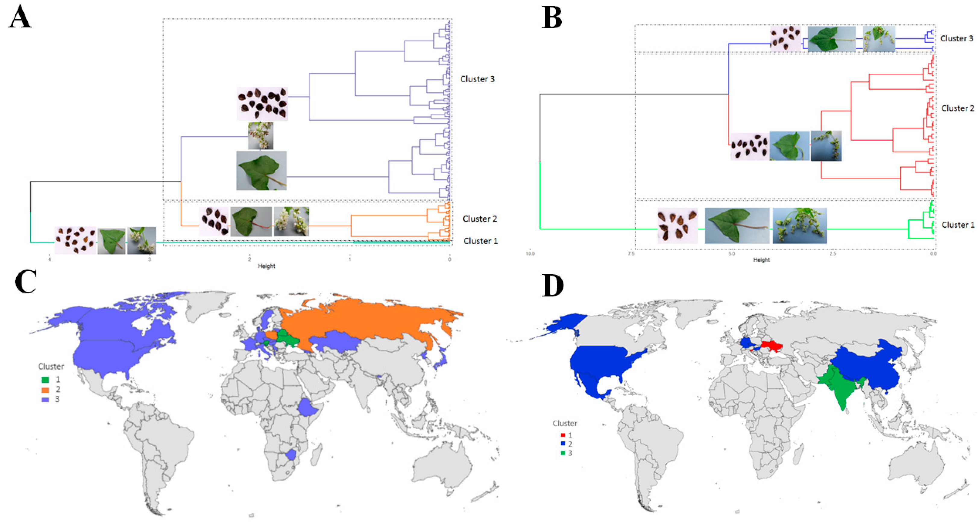 Plants 12 03321 g002