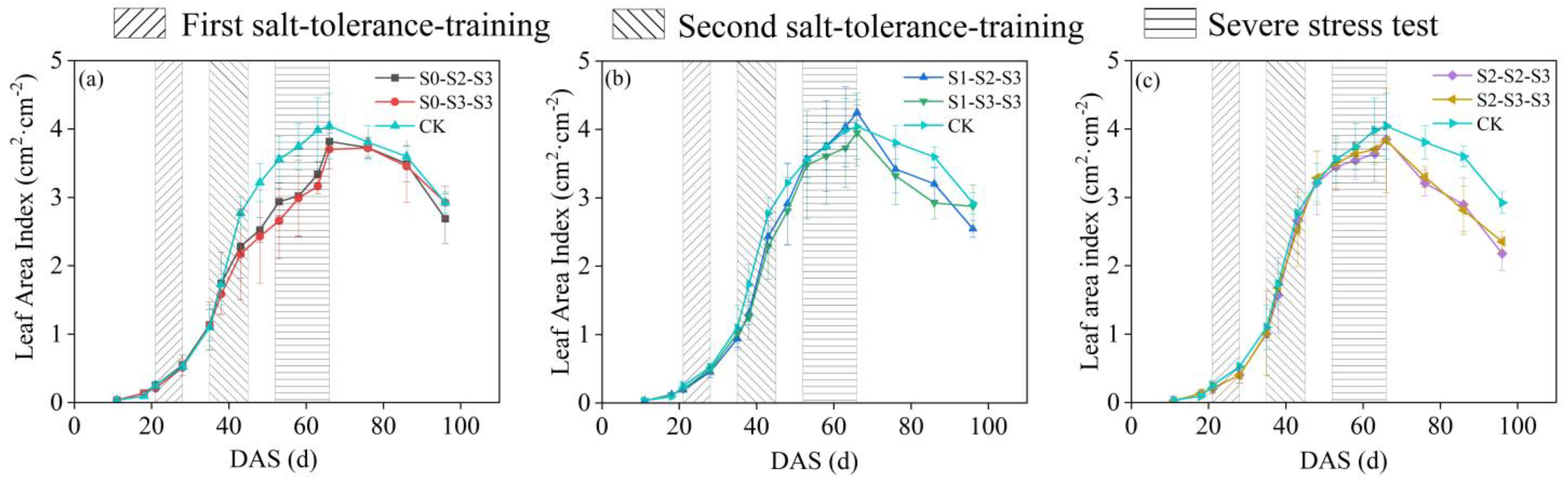 Plants 12 03329 g001