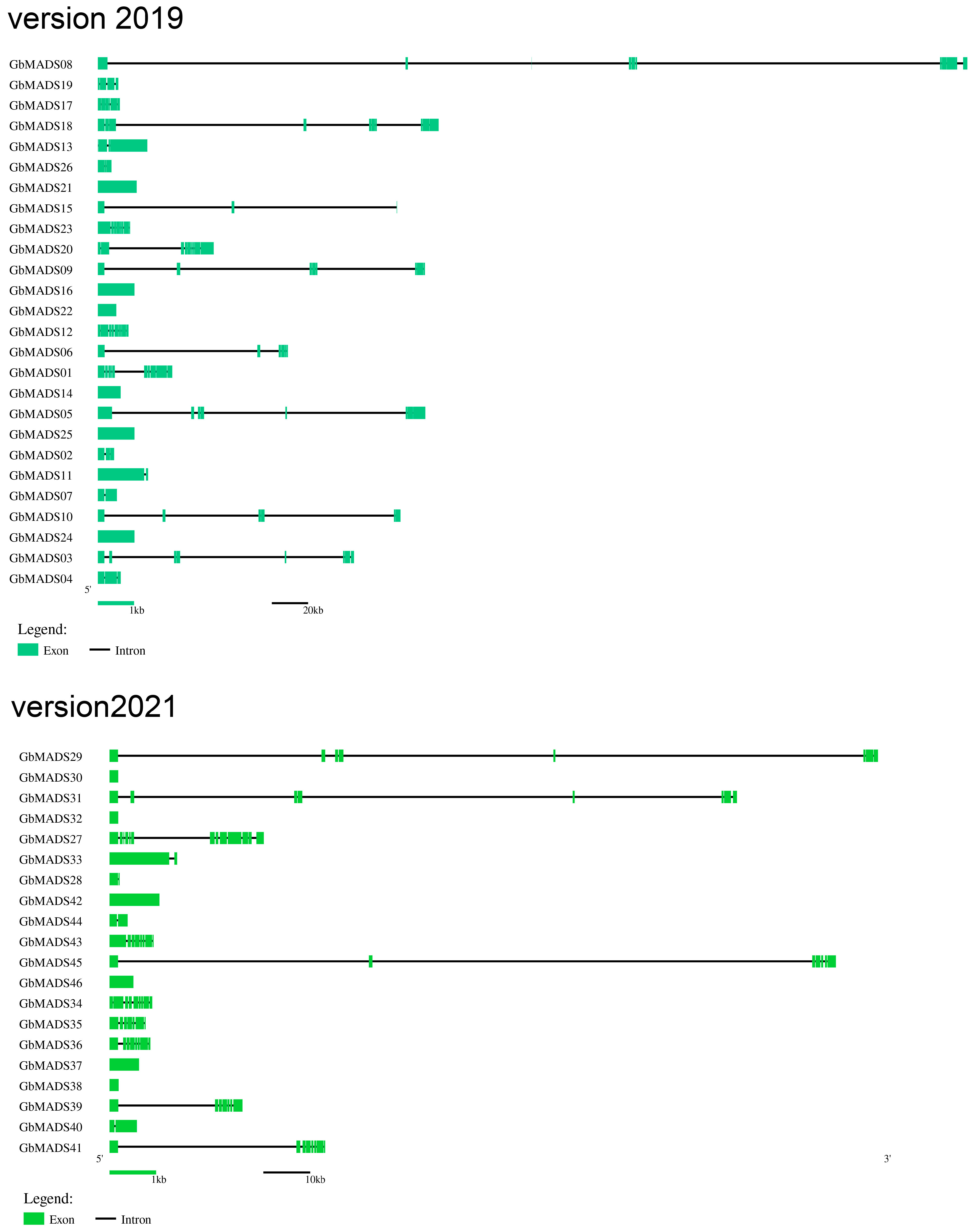 Plants 12 03334 g002
