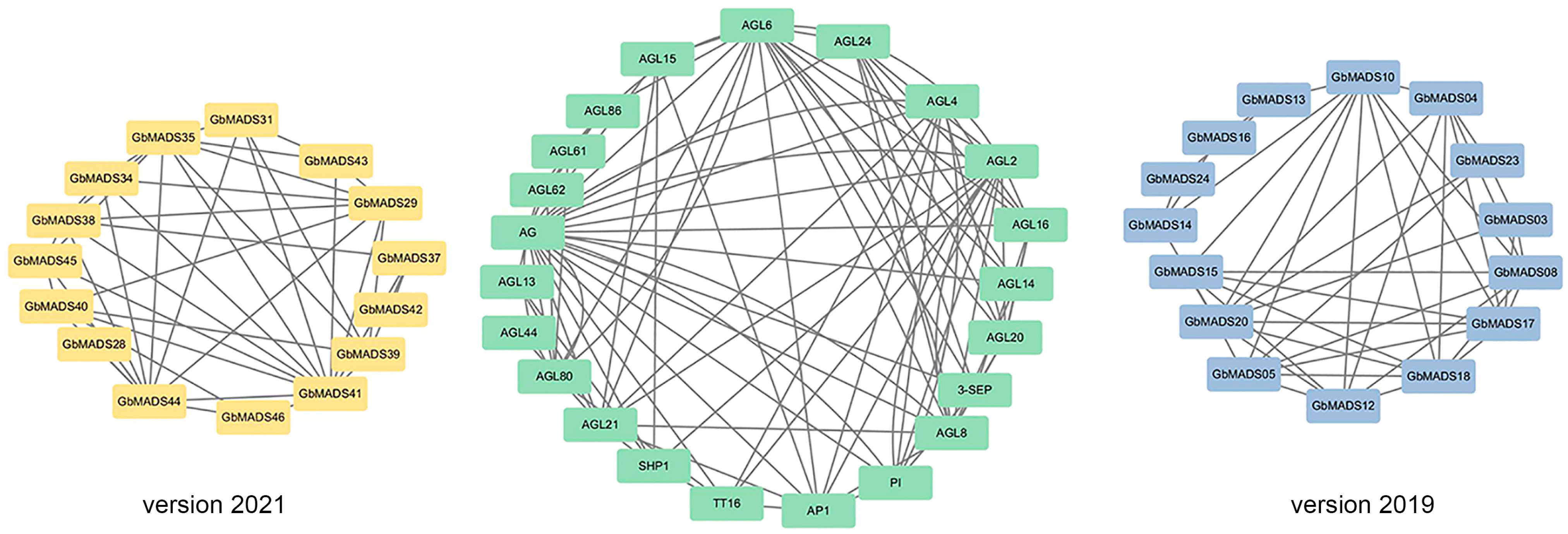 Plants 12 03334 g003