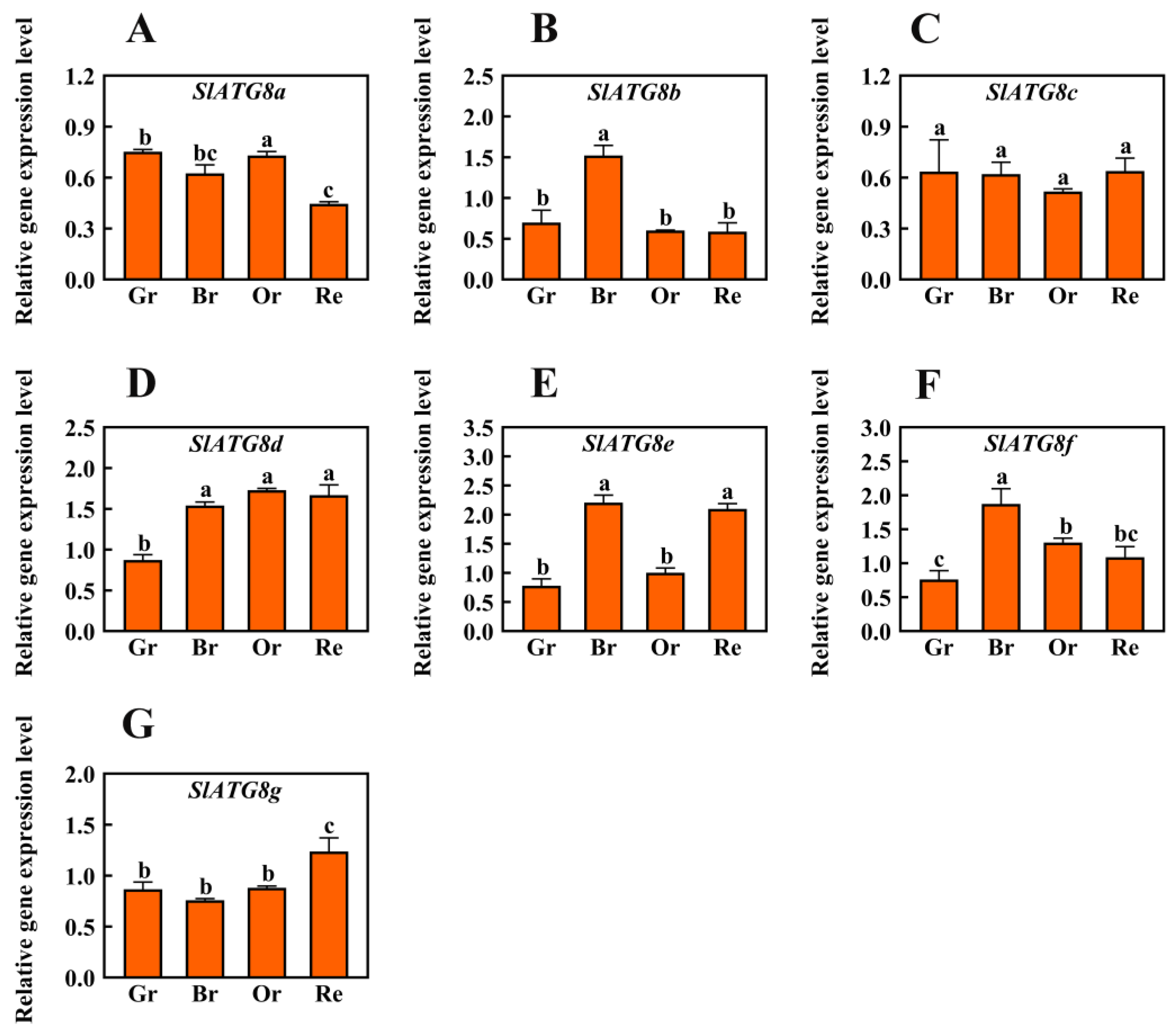 Plants 12 03339 g001