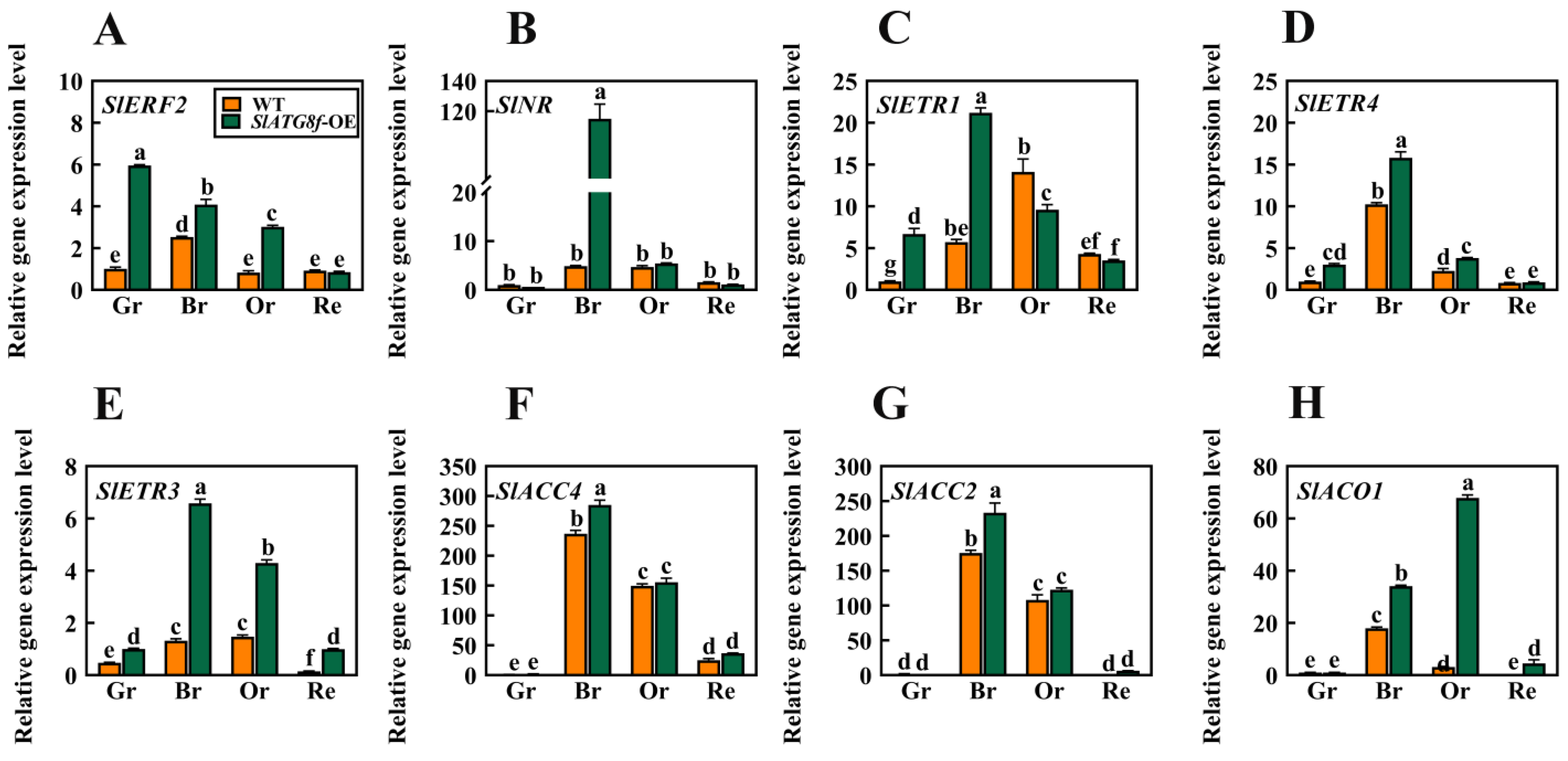 Plants 12 03339 g005