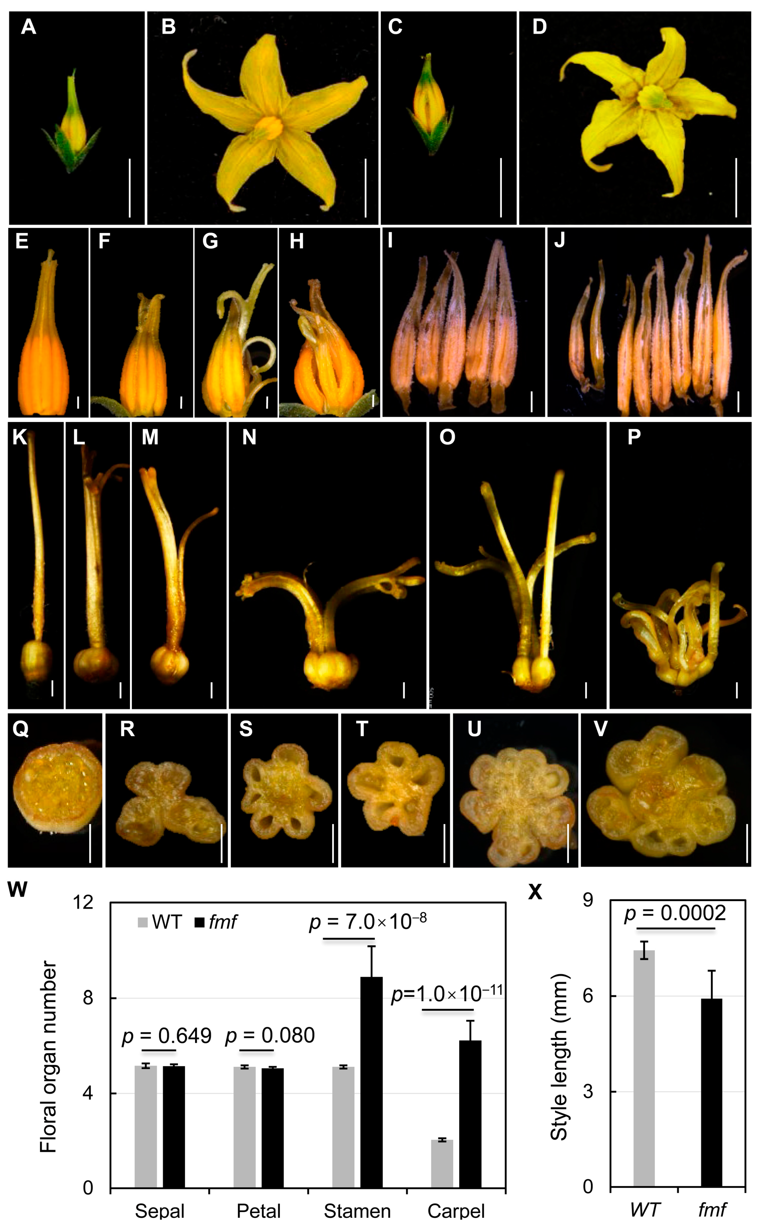 Plants 12 03341 g001 Plants 12 03341 g001
