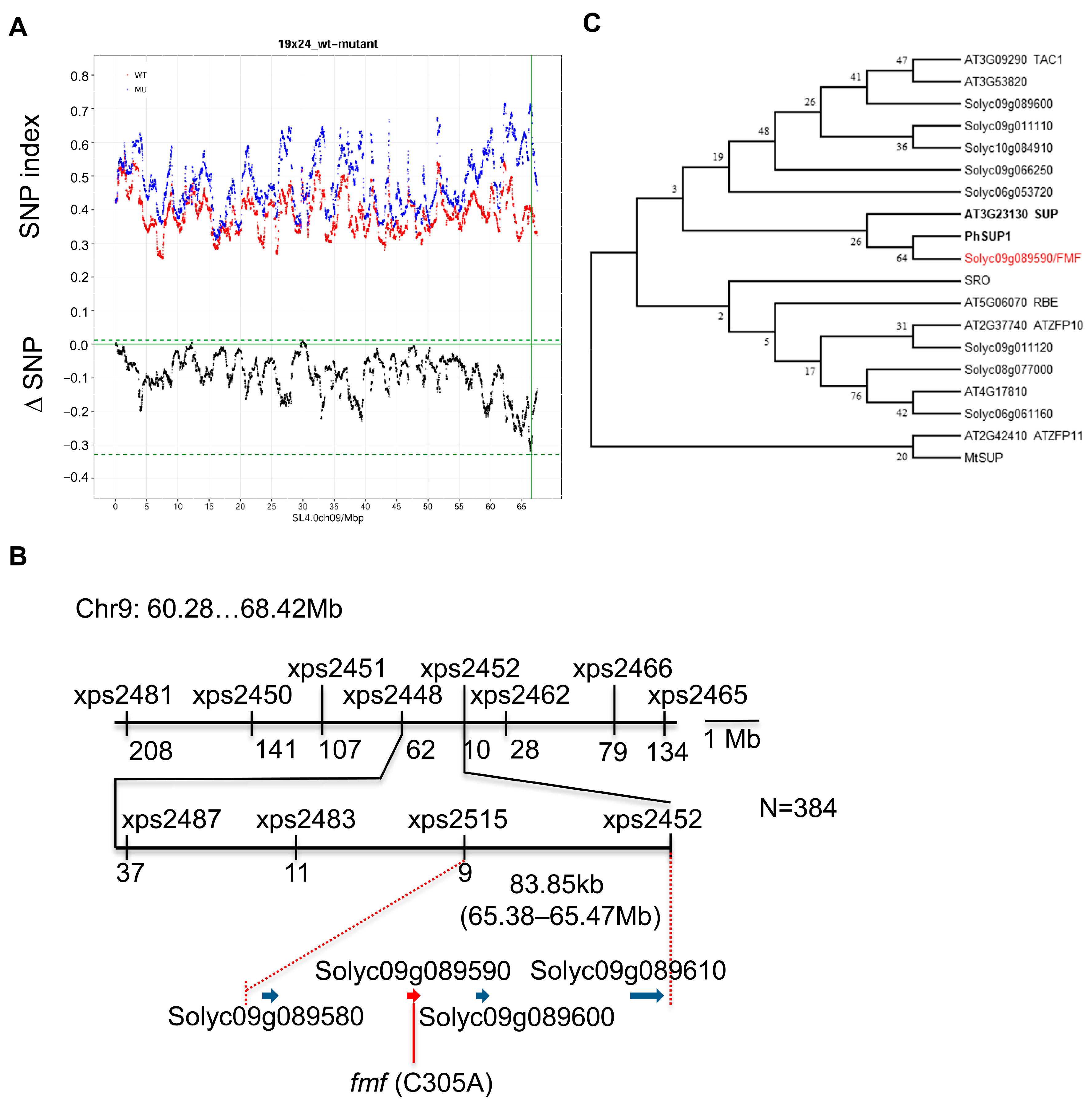 Plants 12 03341 g005 Plants 12 03341 g005