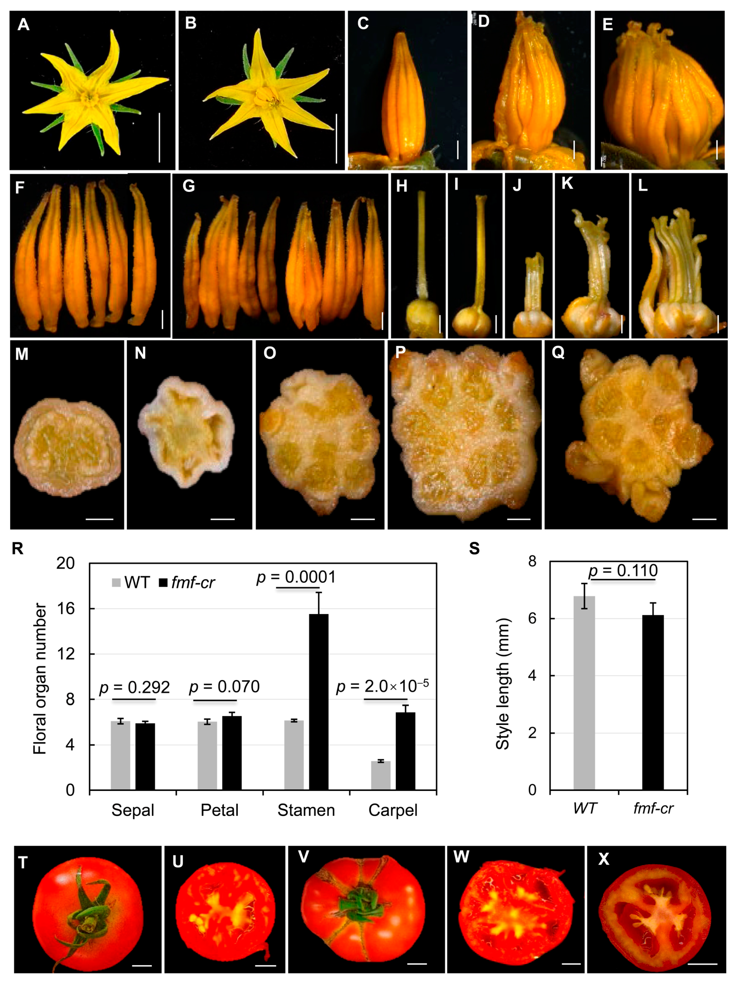 Plants 12 03341 g006 Plants 12 03341 g006