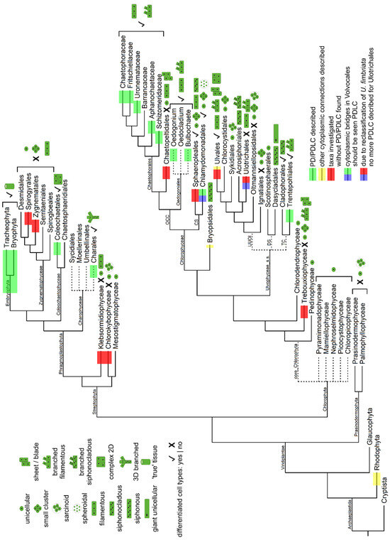 Plants 12 03342 g002