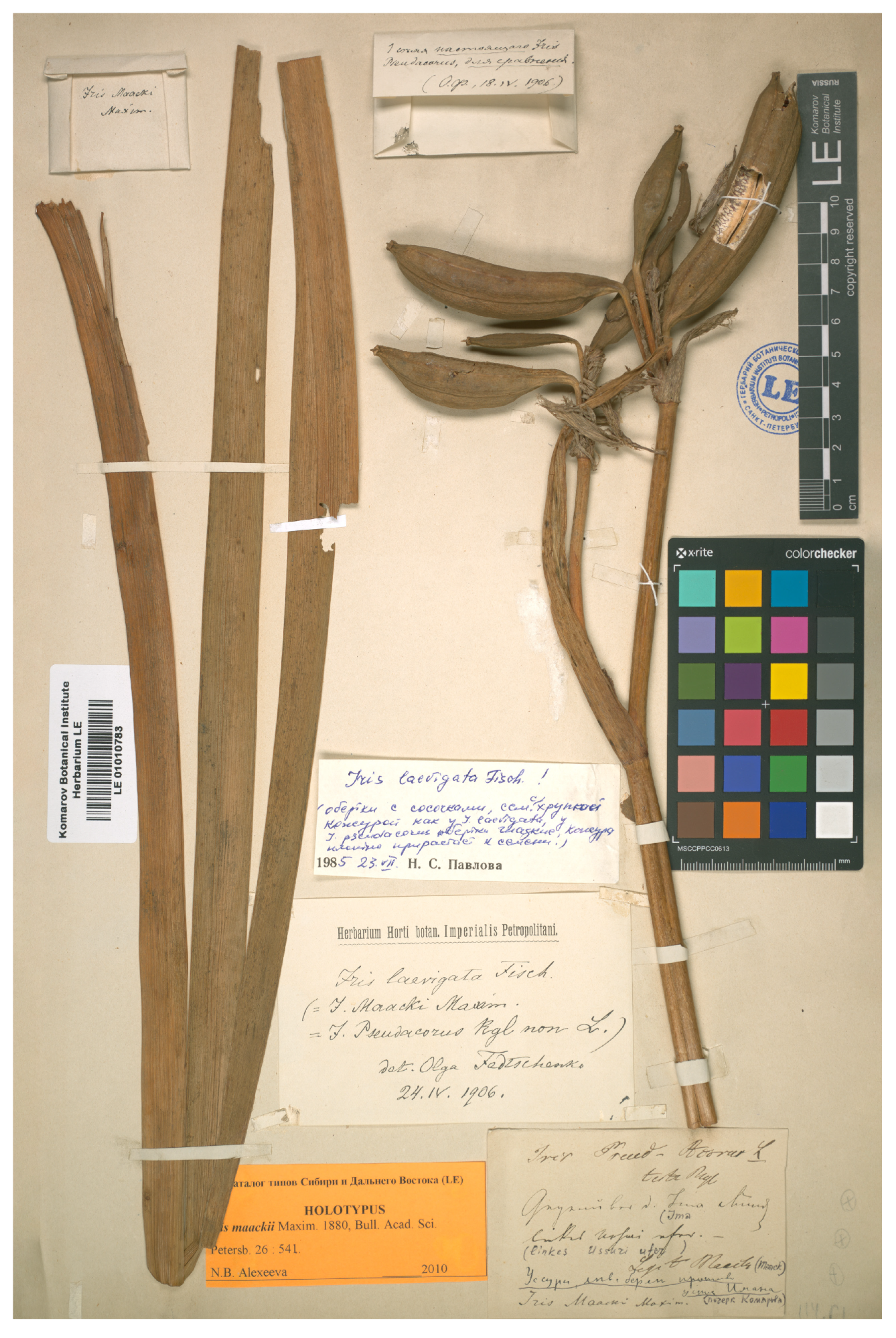 Plants 12 03349 g001