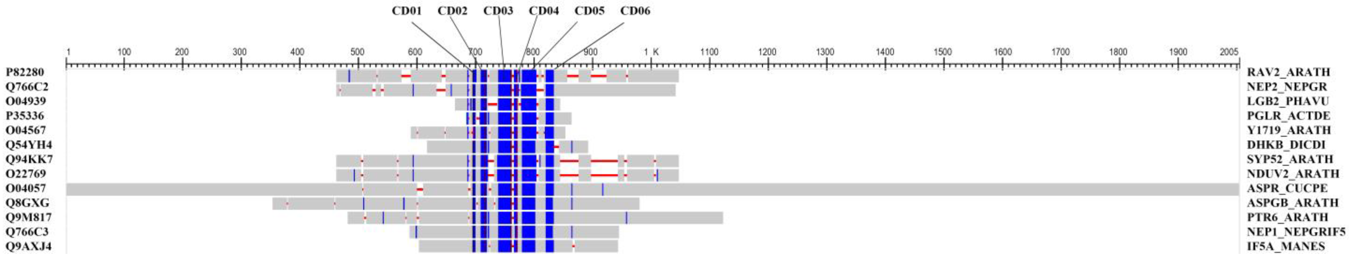Plants 12 03351 g006