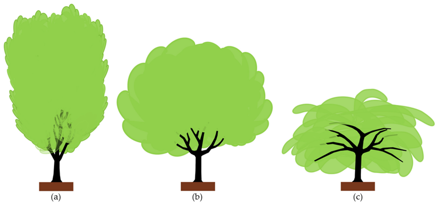 Plants 12 03360 g005 Plants 12 03360 g005