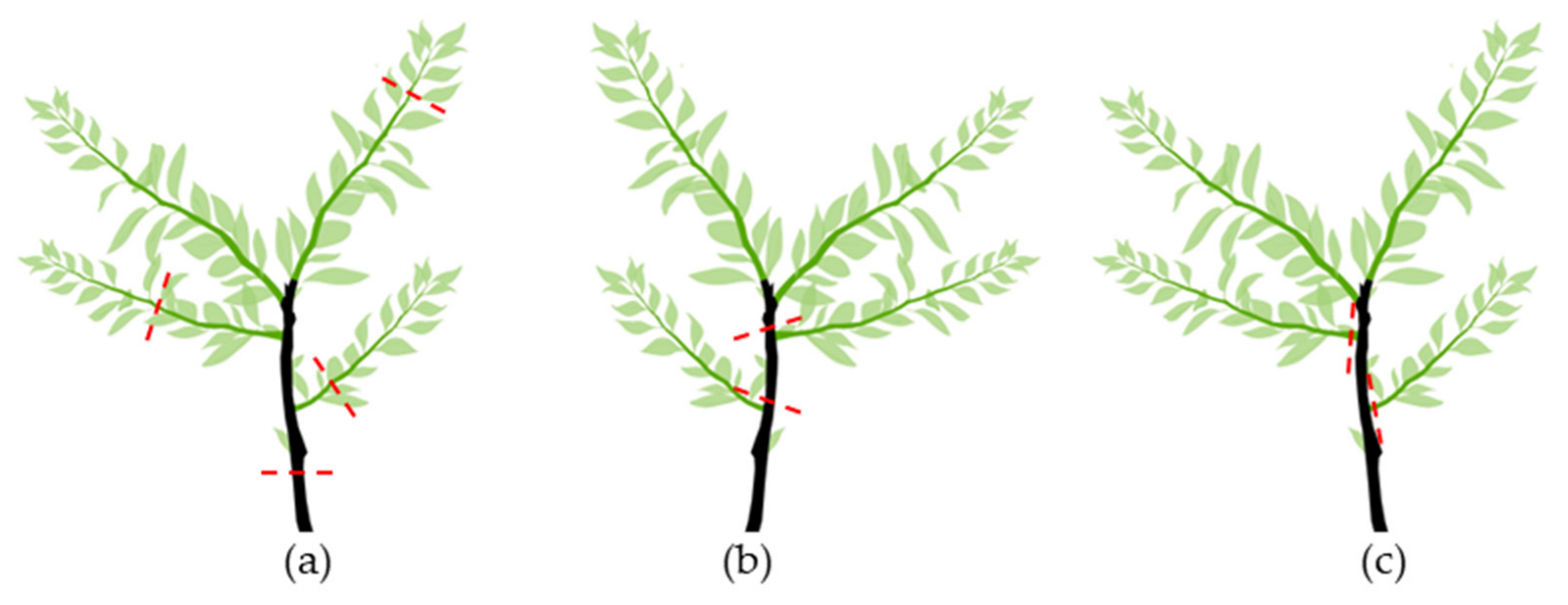 Plants 12 03360 g007 Plants 12 03360 g007