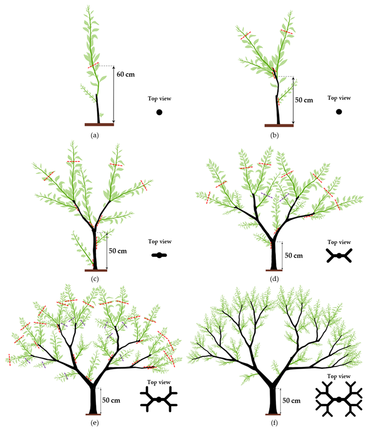 Plants 12 03360 g014 Plants 12 03360 g014
