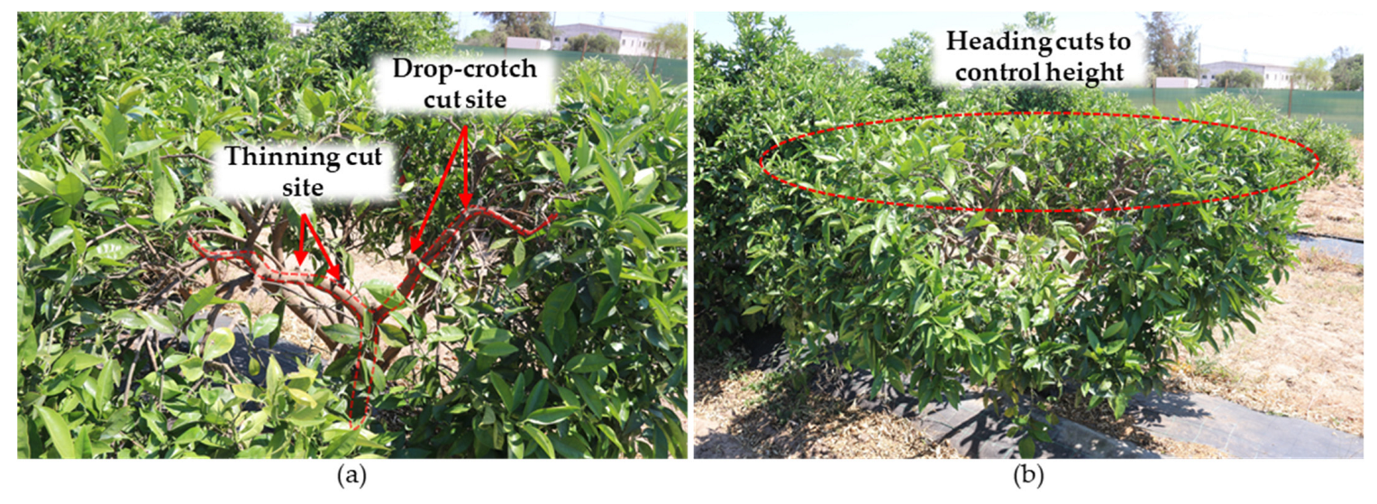 Plants 12 03360 g016 Plants 12 03360 g016