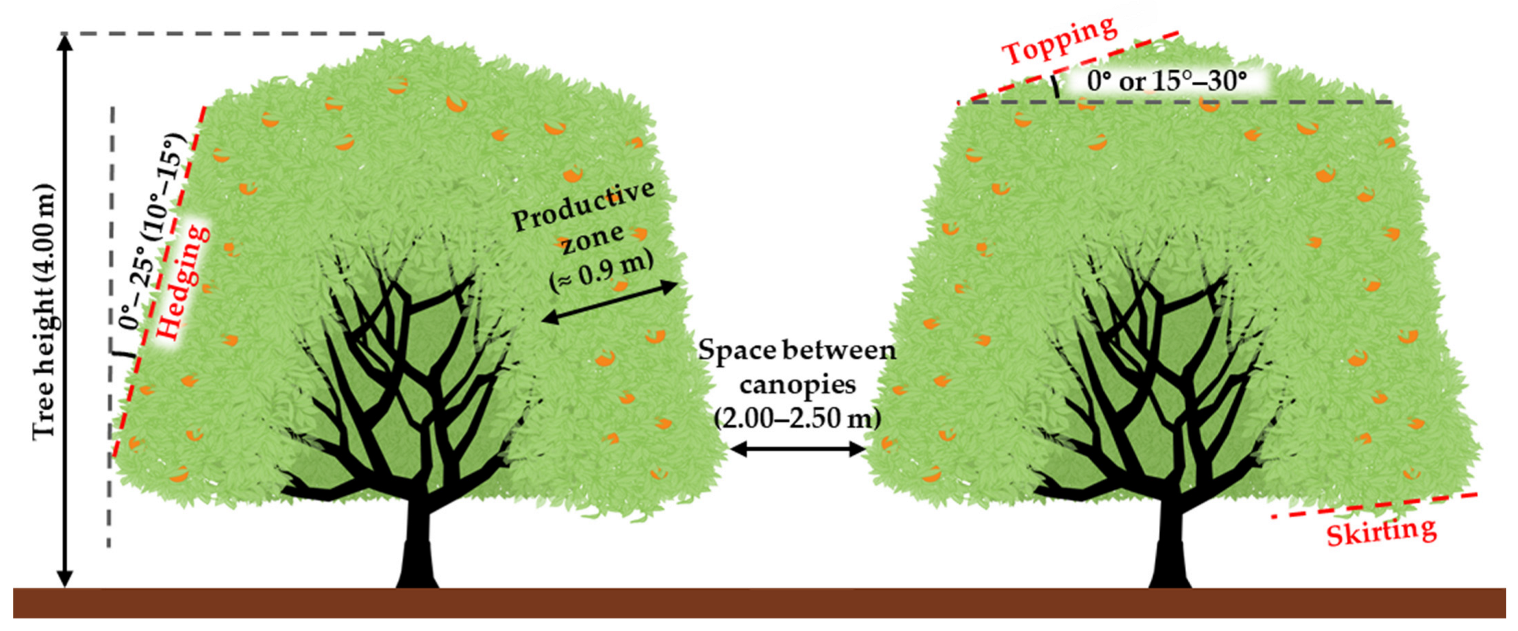 Plants 12 03360 g017 Plants 12 03360 g017