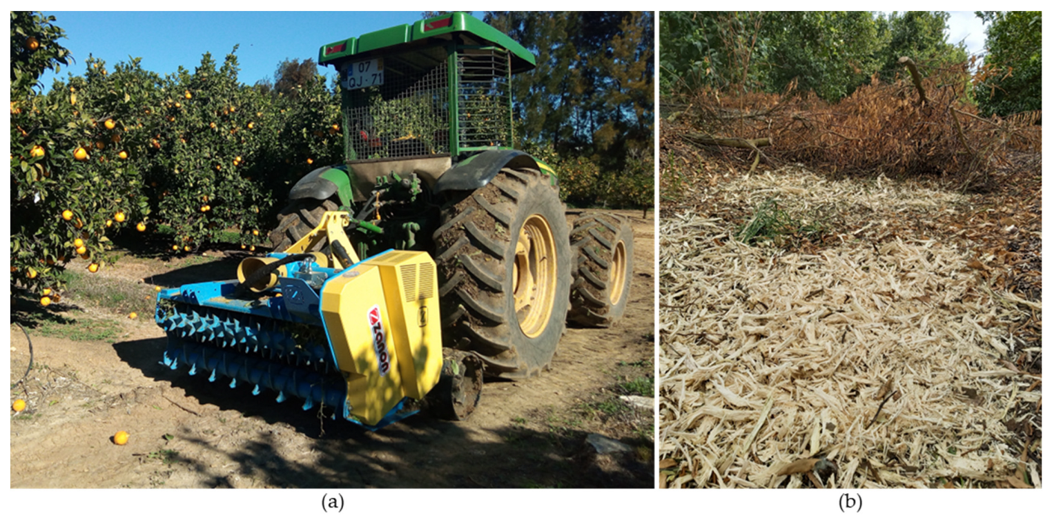 Plants 12 03360 g018 Plants 12 03360 g018