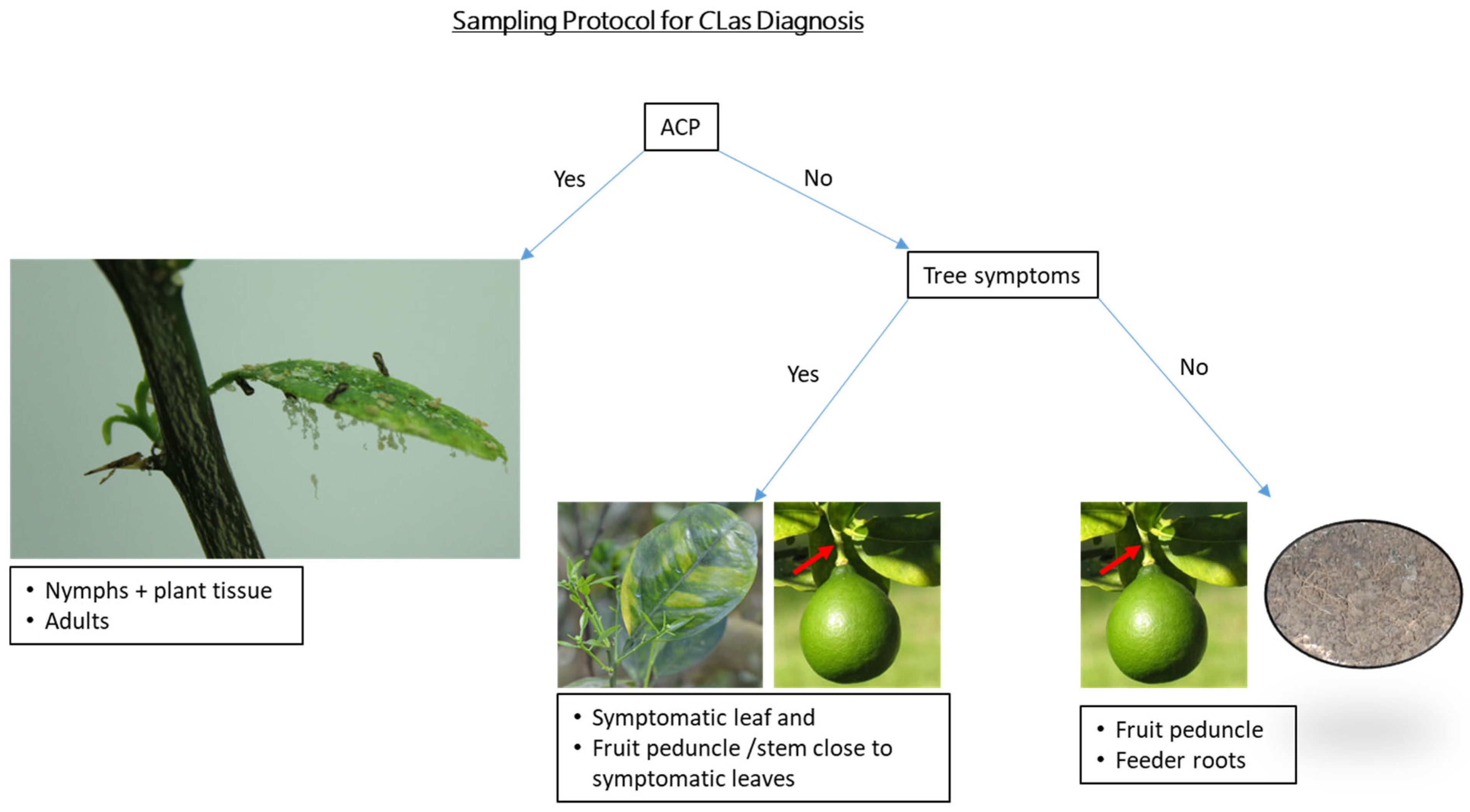 Plants 12 03364 g006
