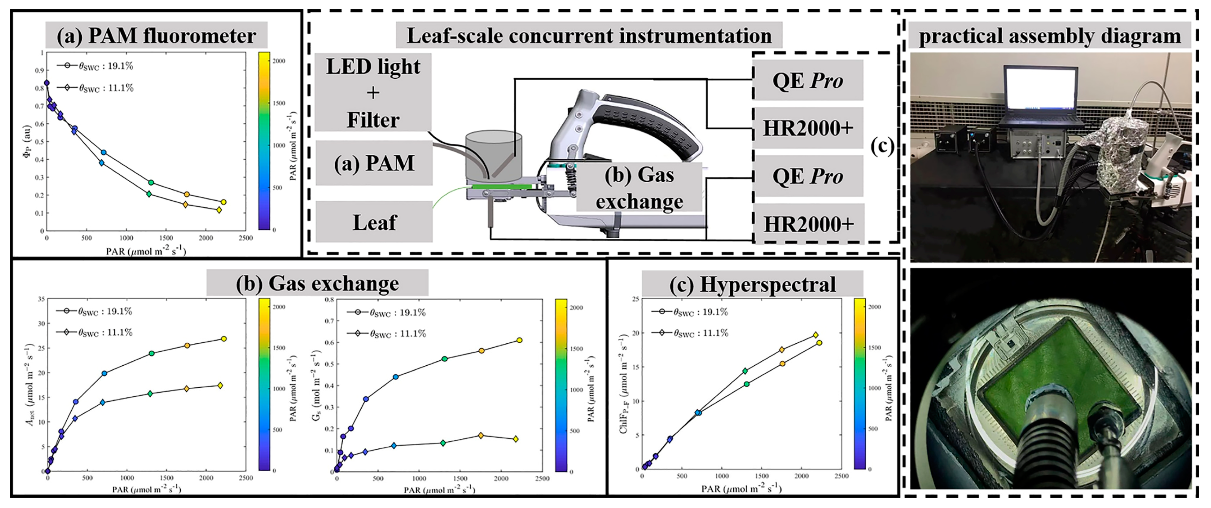 Plants 12 03365 g011