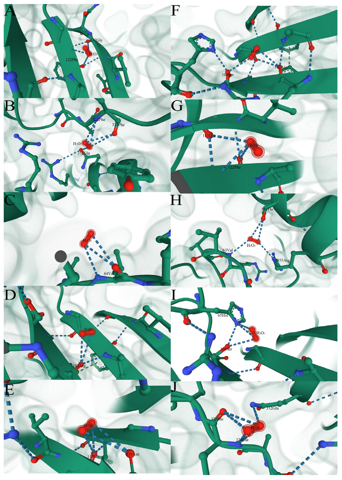 Plants 12 03370 g008 Plants 12 03370 g008