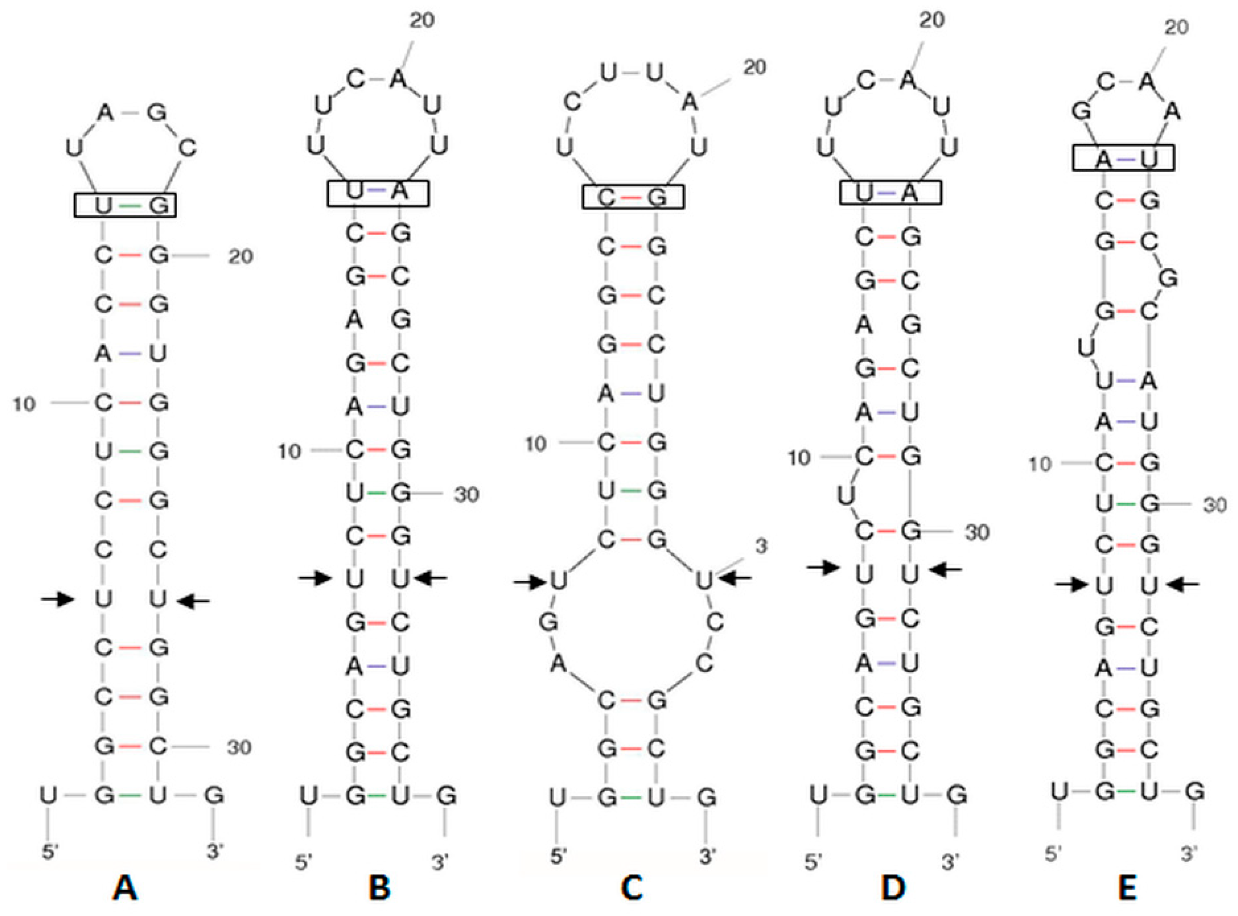 Plants 12 03372 g002