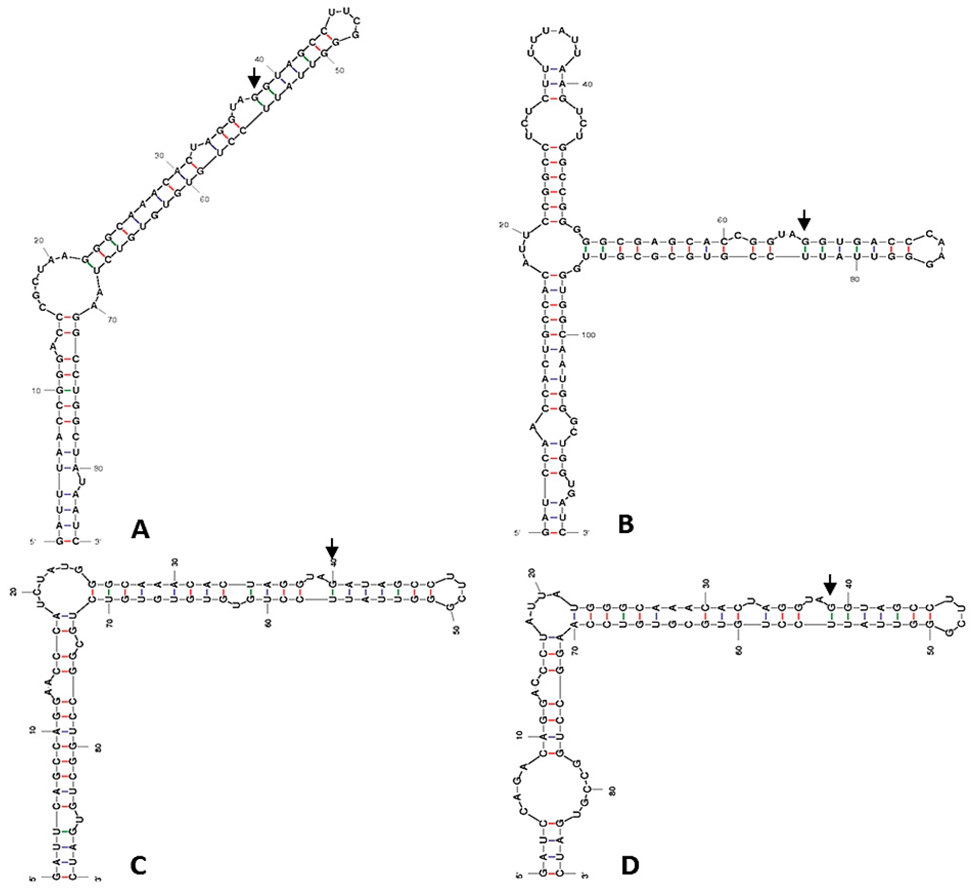 Plants 12 03372 g003