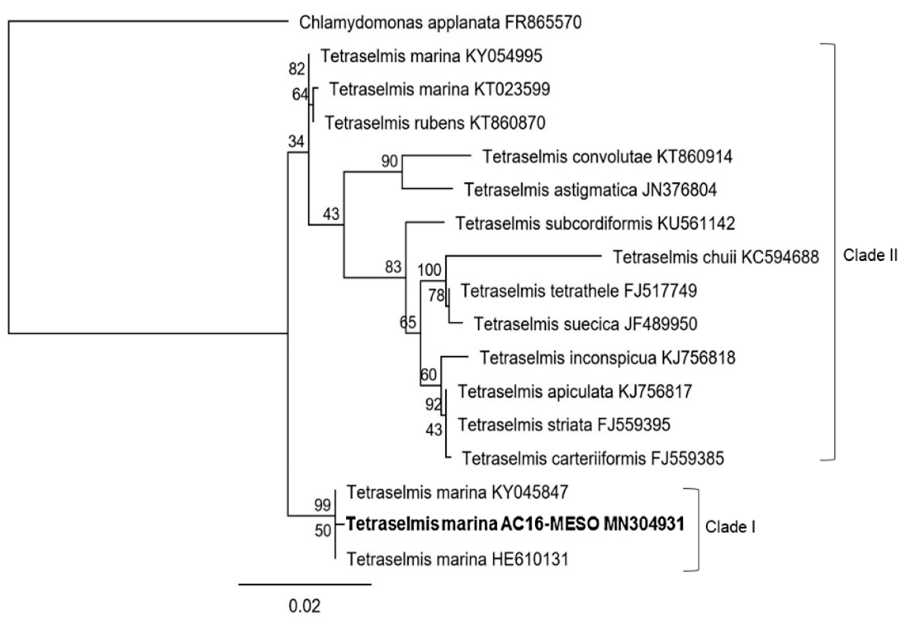 Plants 12 03372 g004