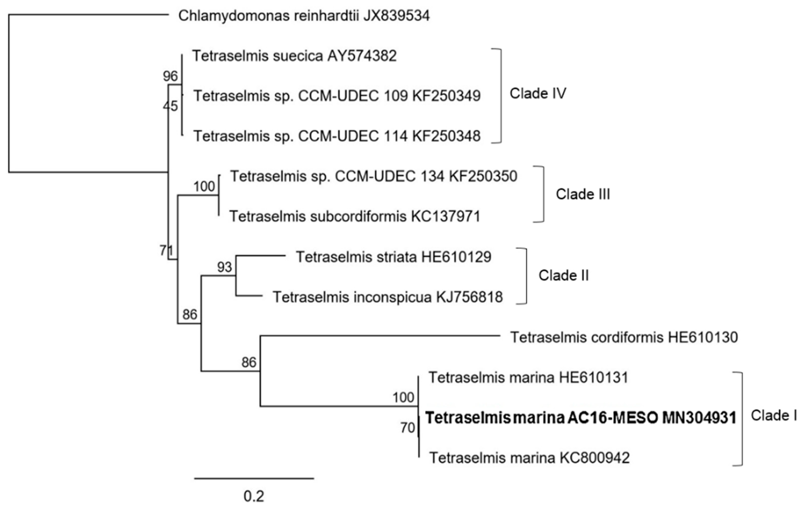 Plants 12 03372 g005