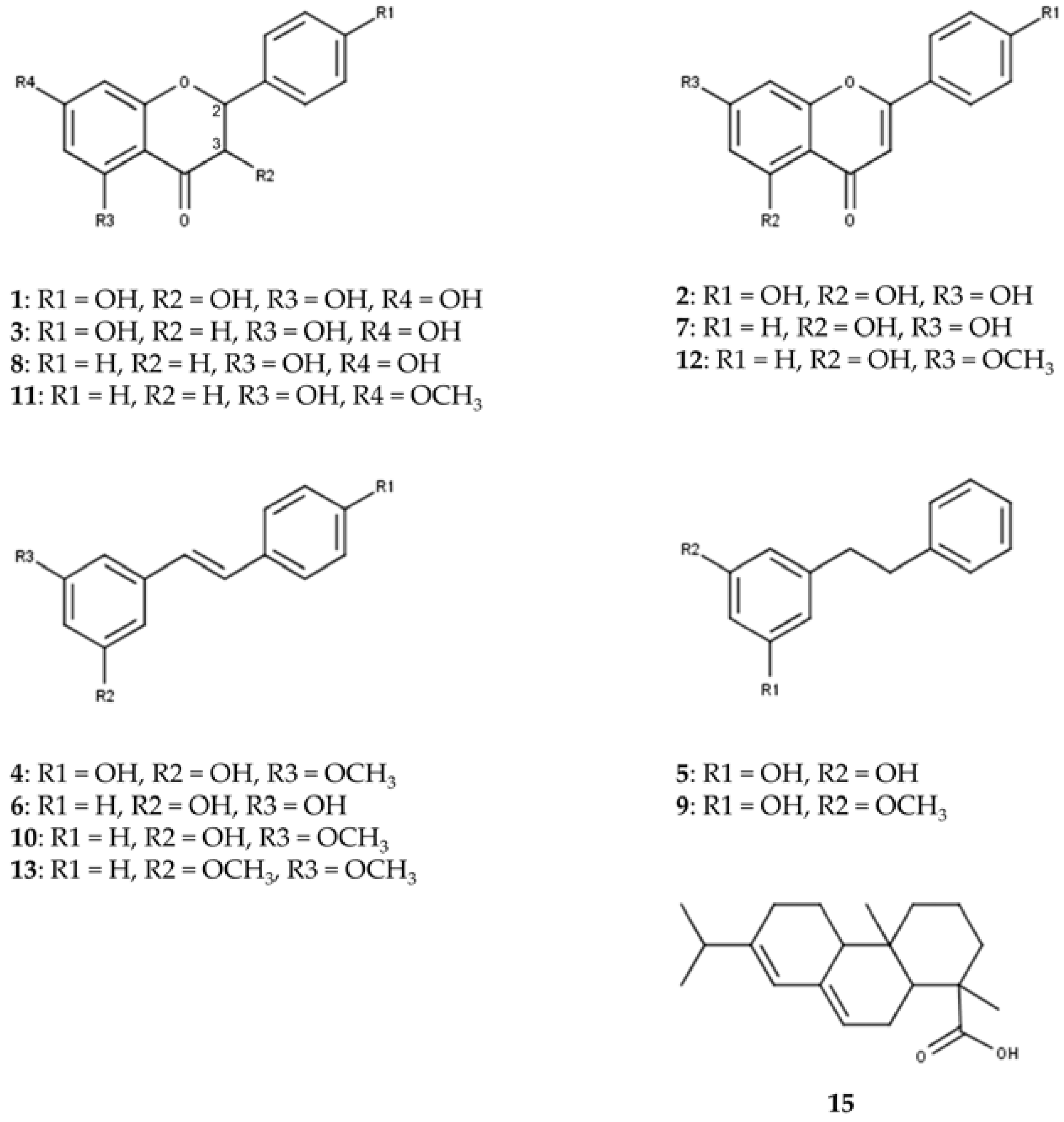 Plants 12 03388 g002