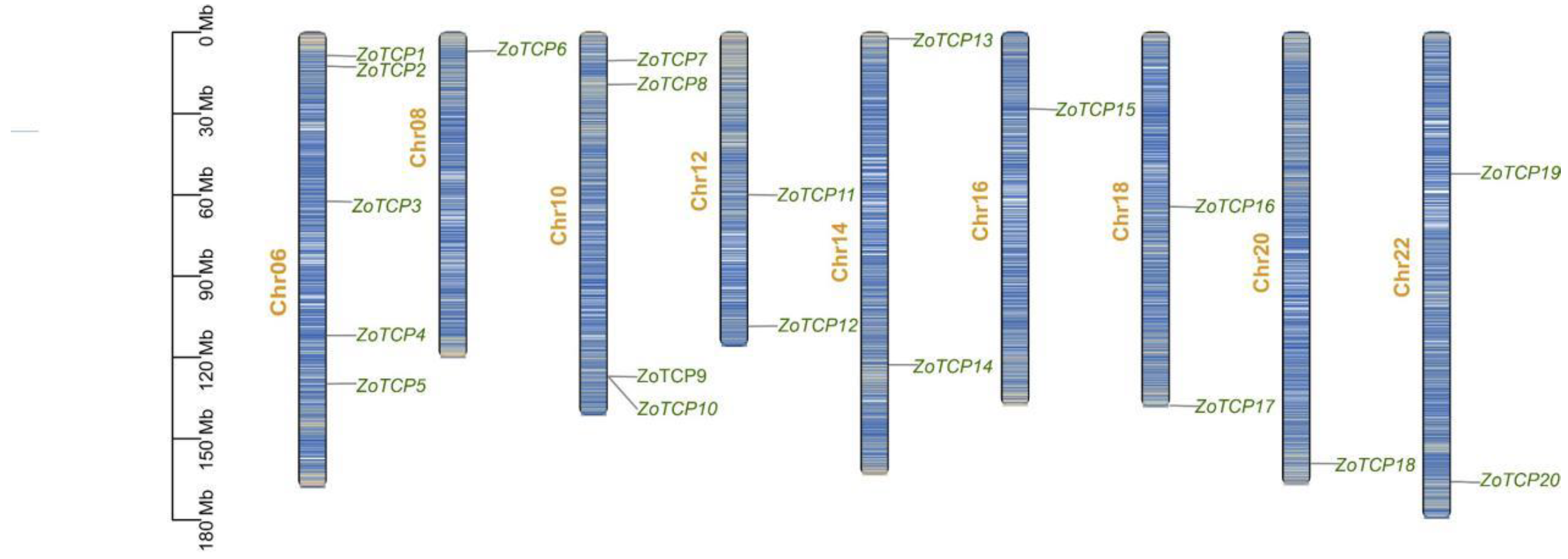 Plants 12 03389 g001