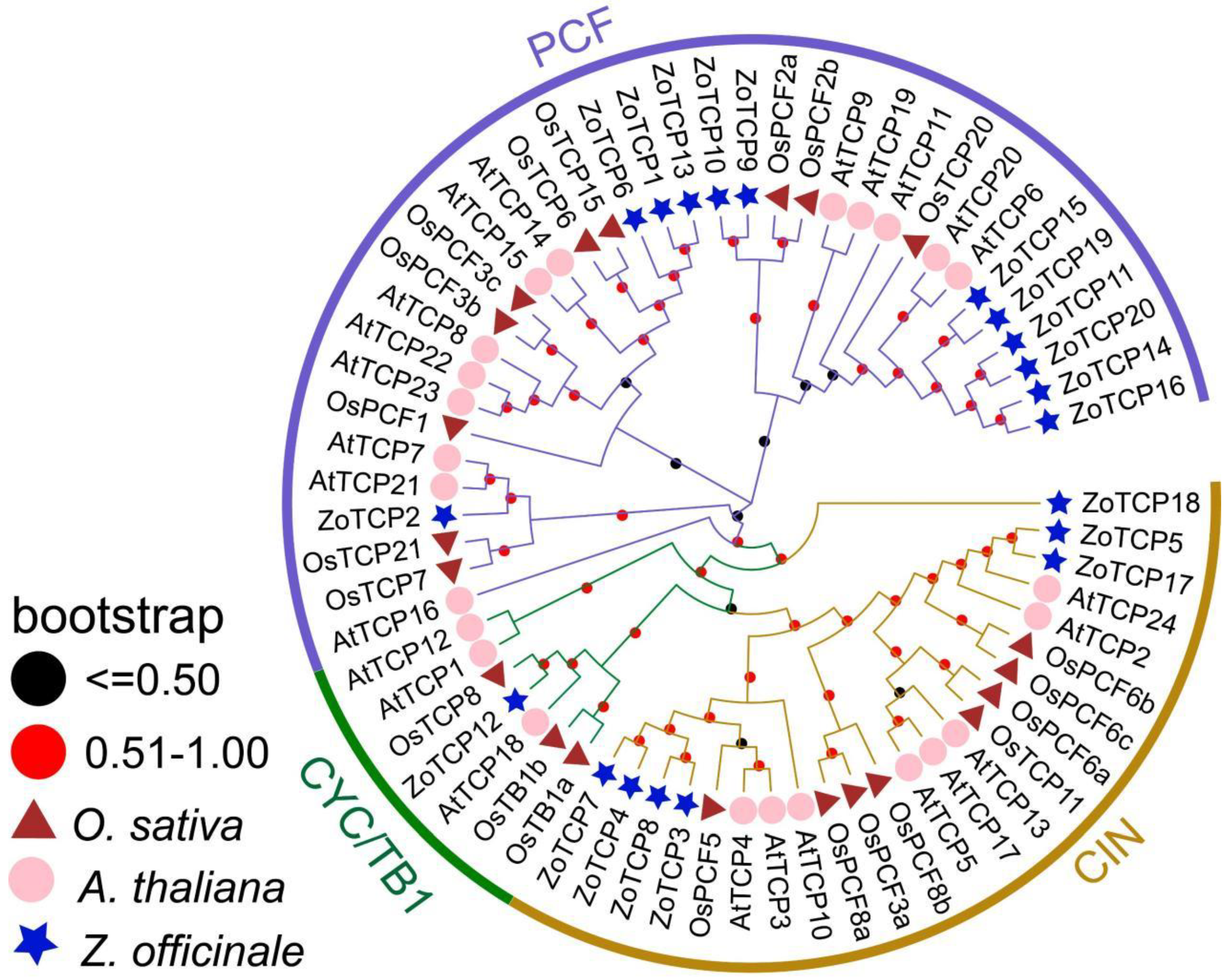 Plants 12 03389 g002