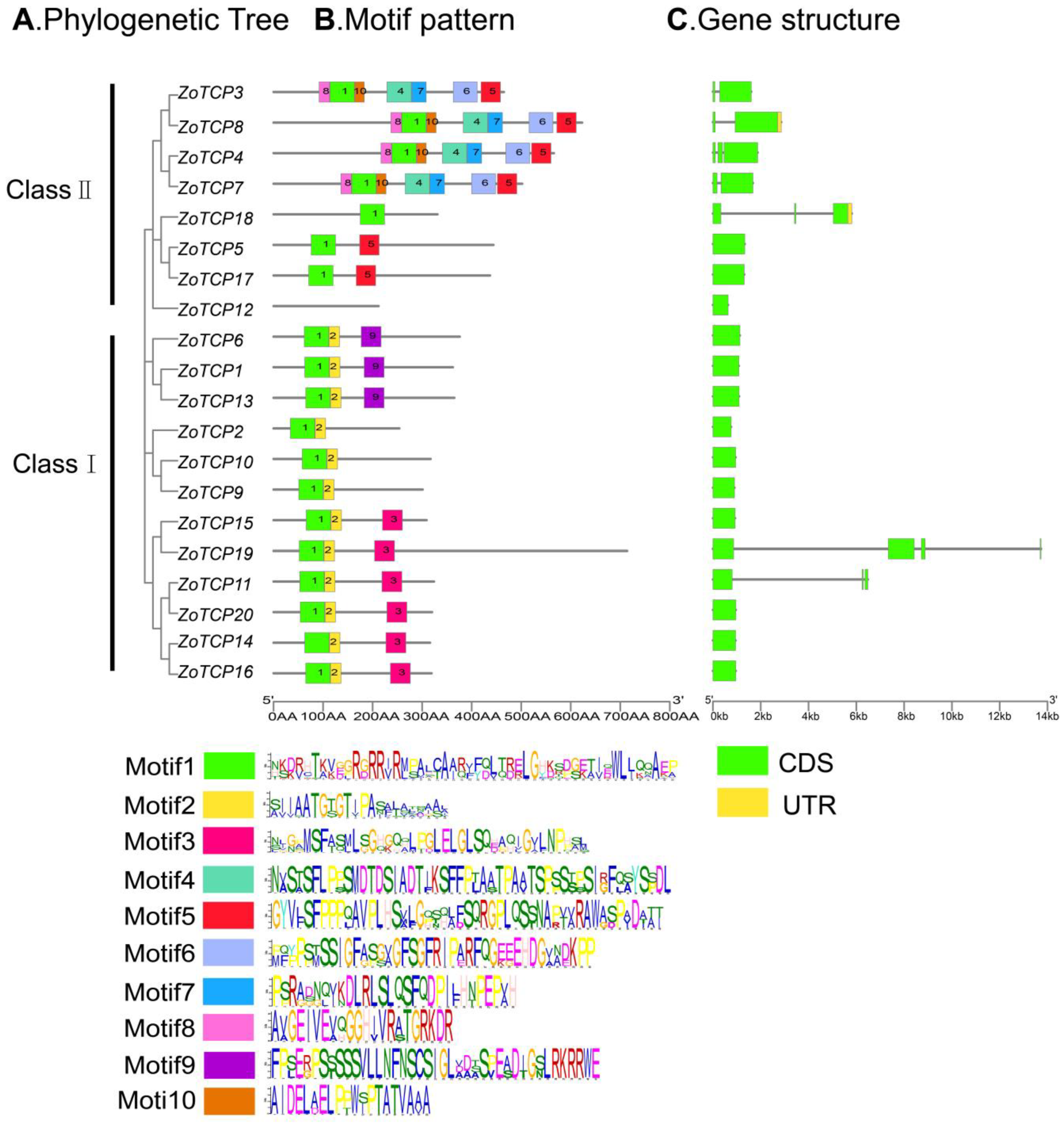 Plants 12 03389 g004