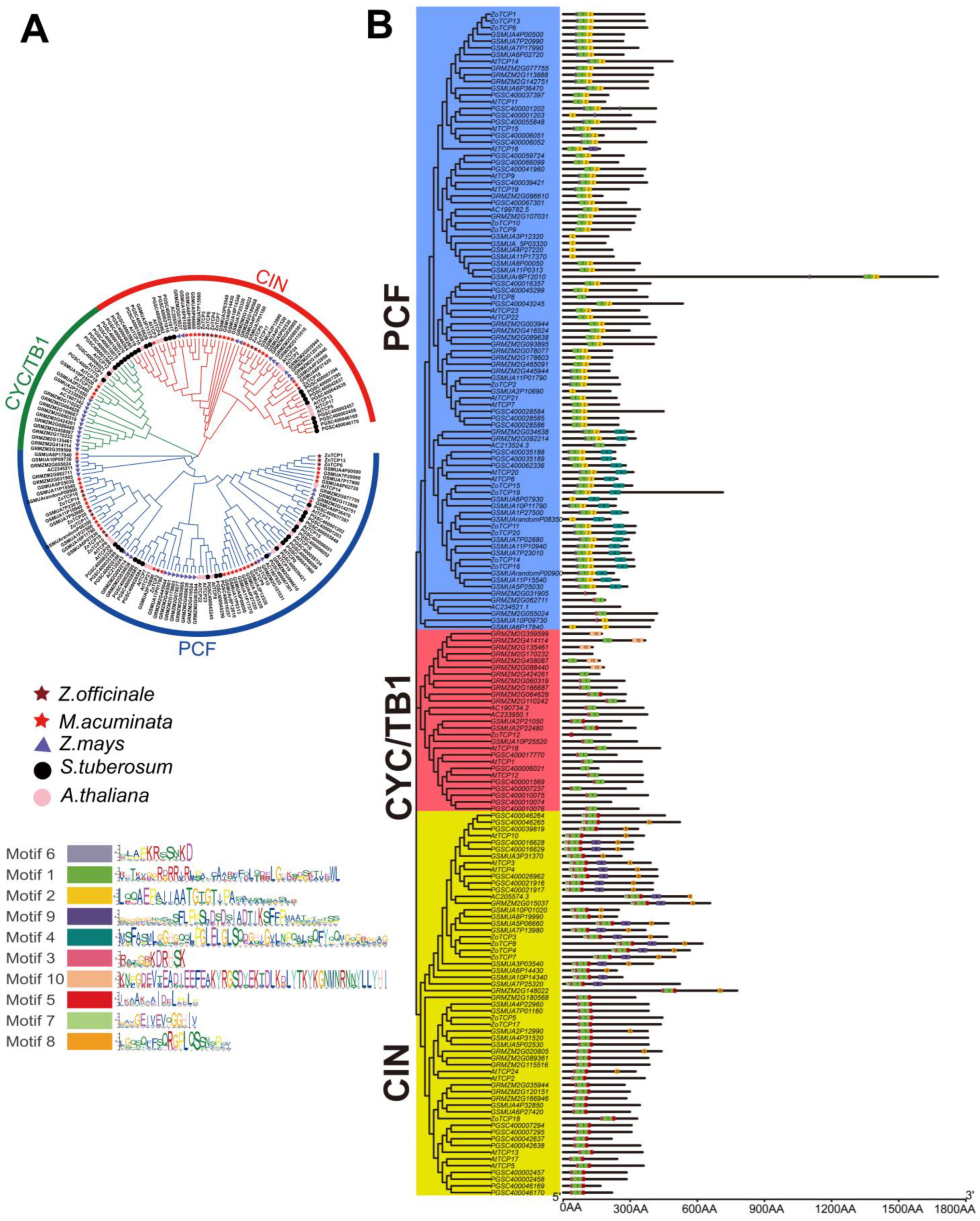 Plants 12 03389 g005