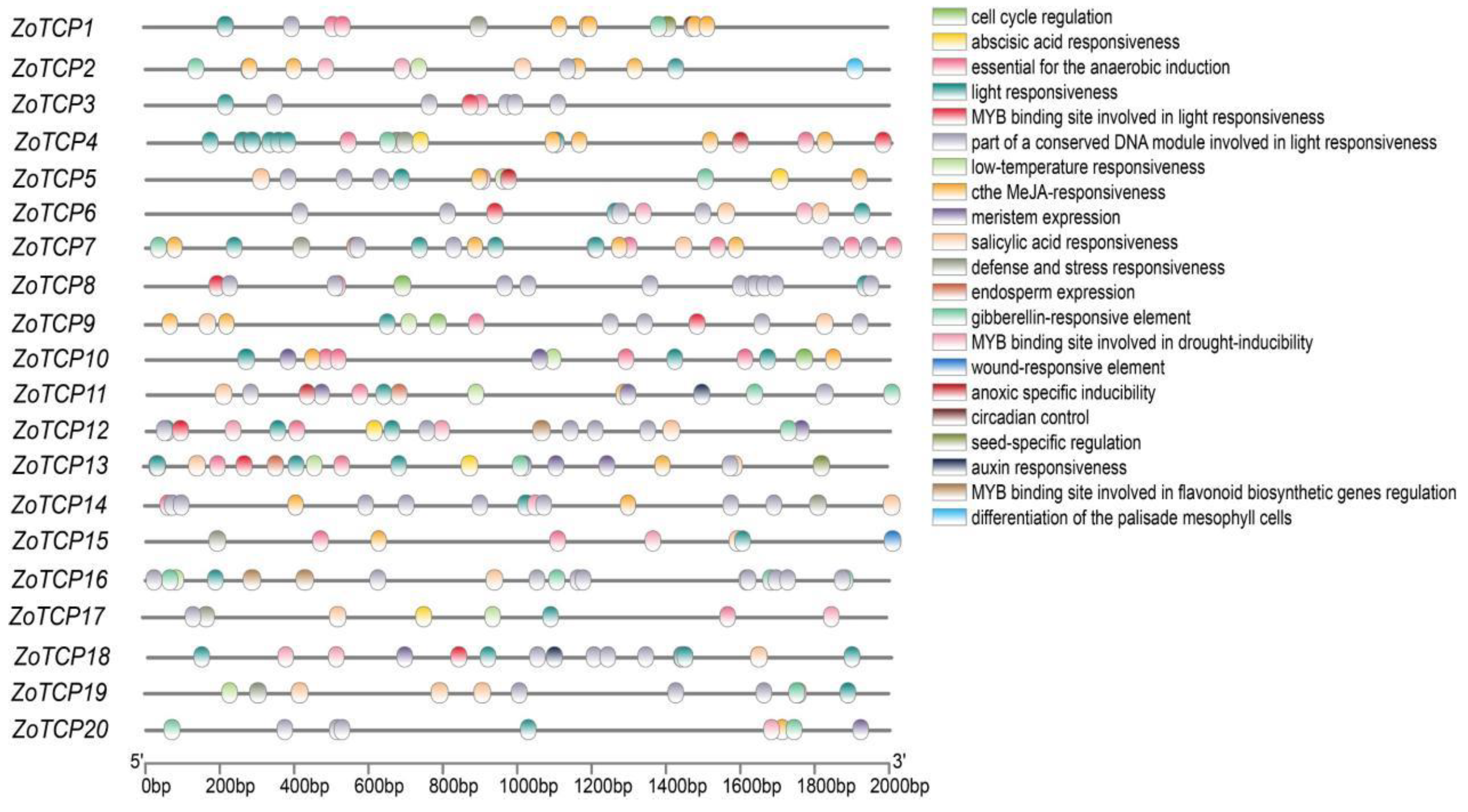 Plants 12 03389 g006