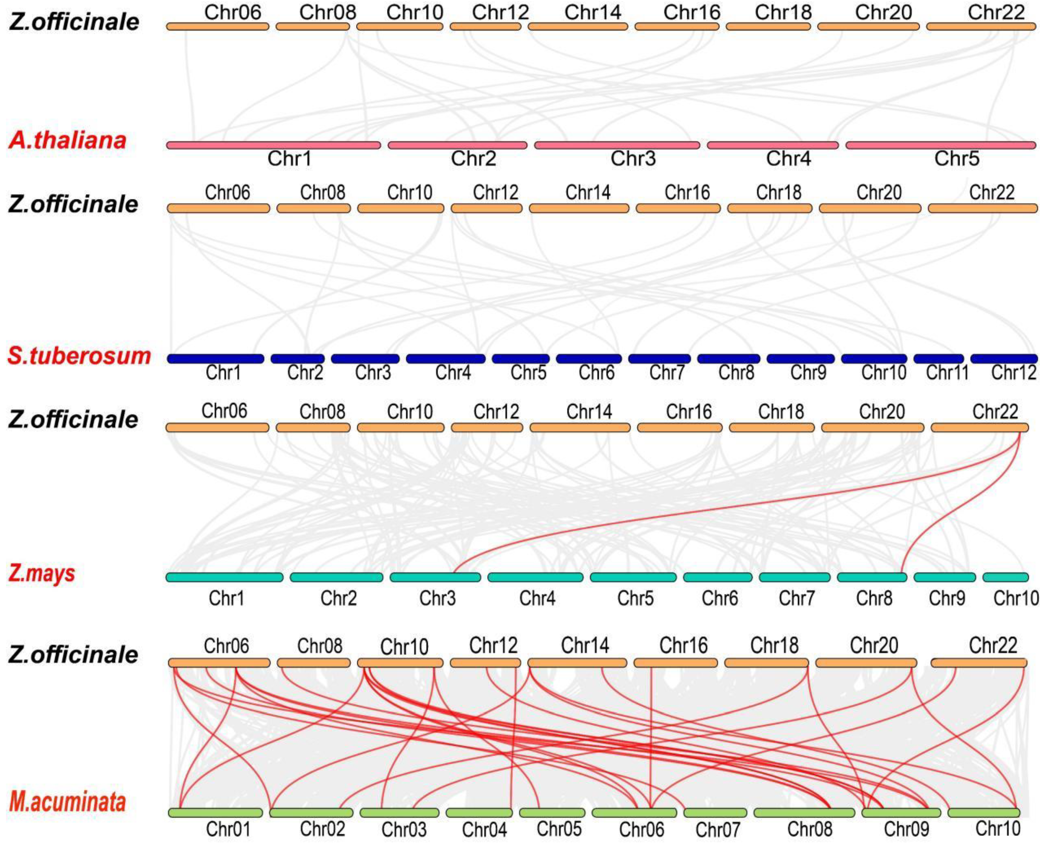 Plants 12 03389 g008