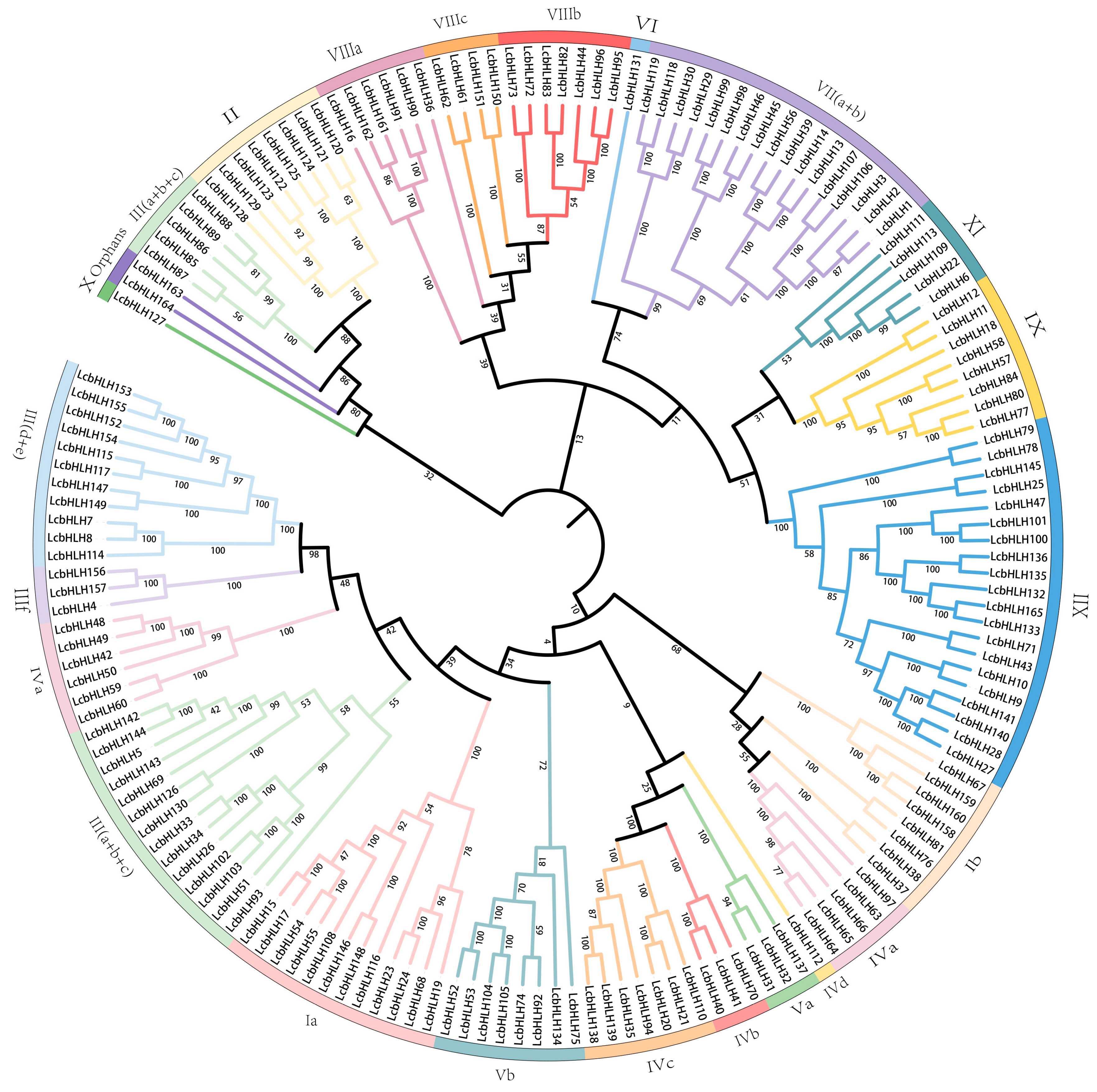 Plants 12 03392 g002 Plants 12 03392 g002