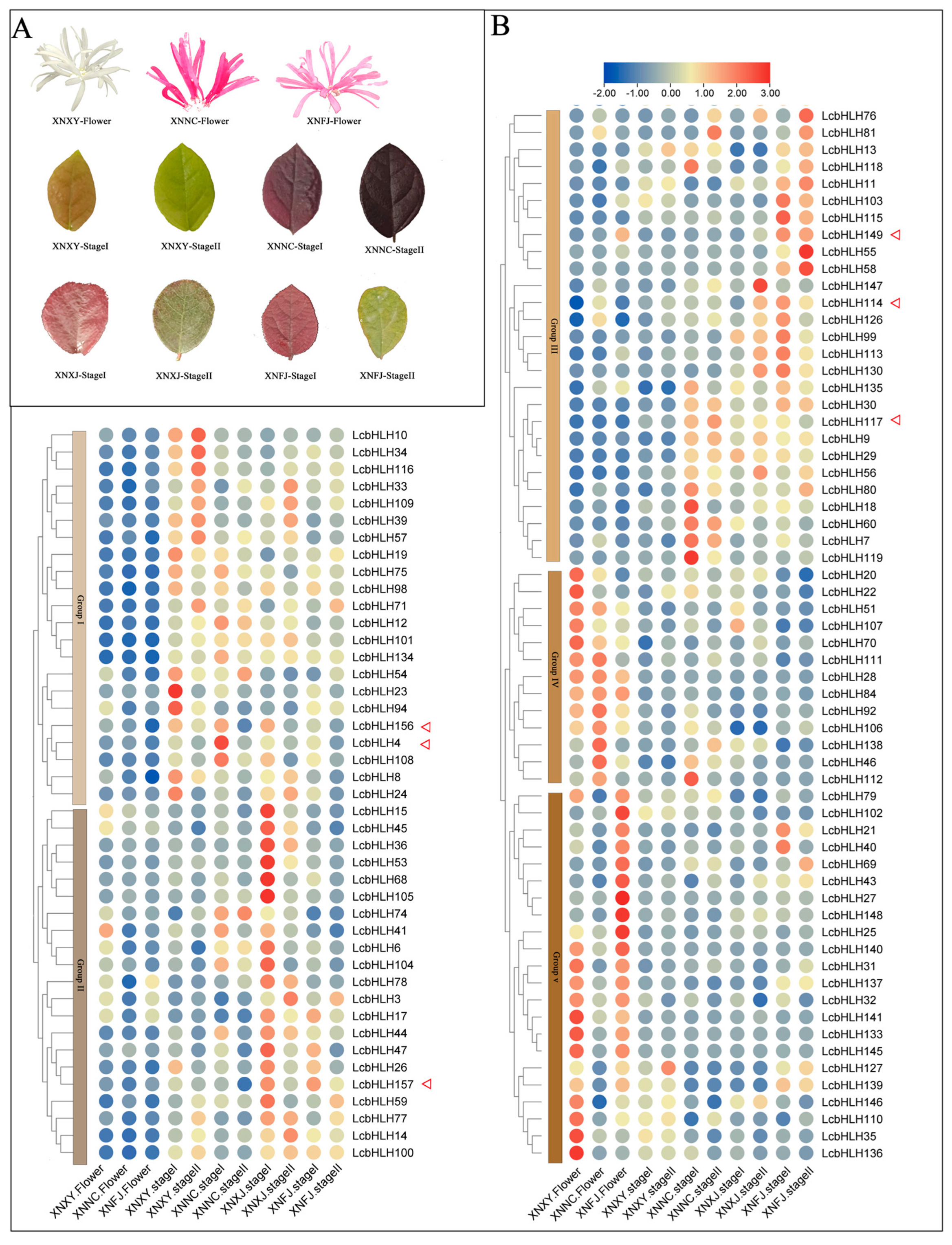 Plants 12 03392 g005 Plants 12 03392 g005