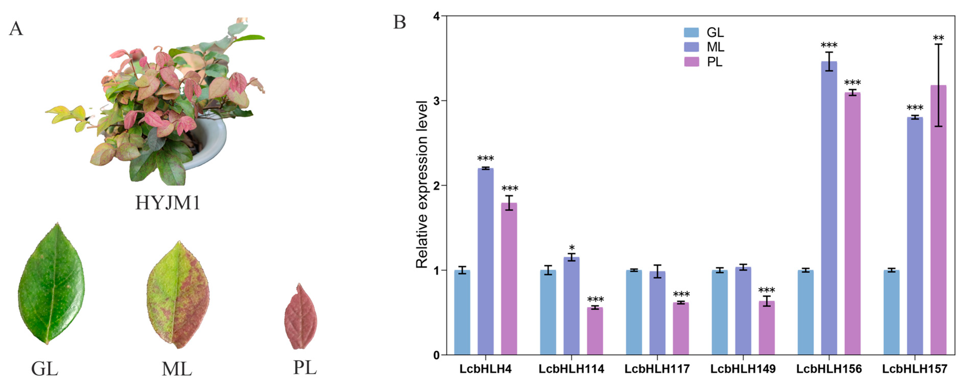 Plants 12 03392 g007 Plants 12 03392 g007