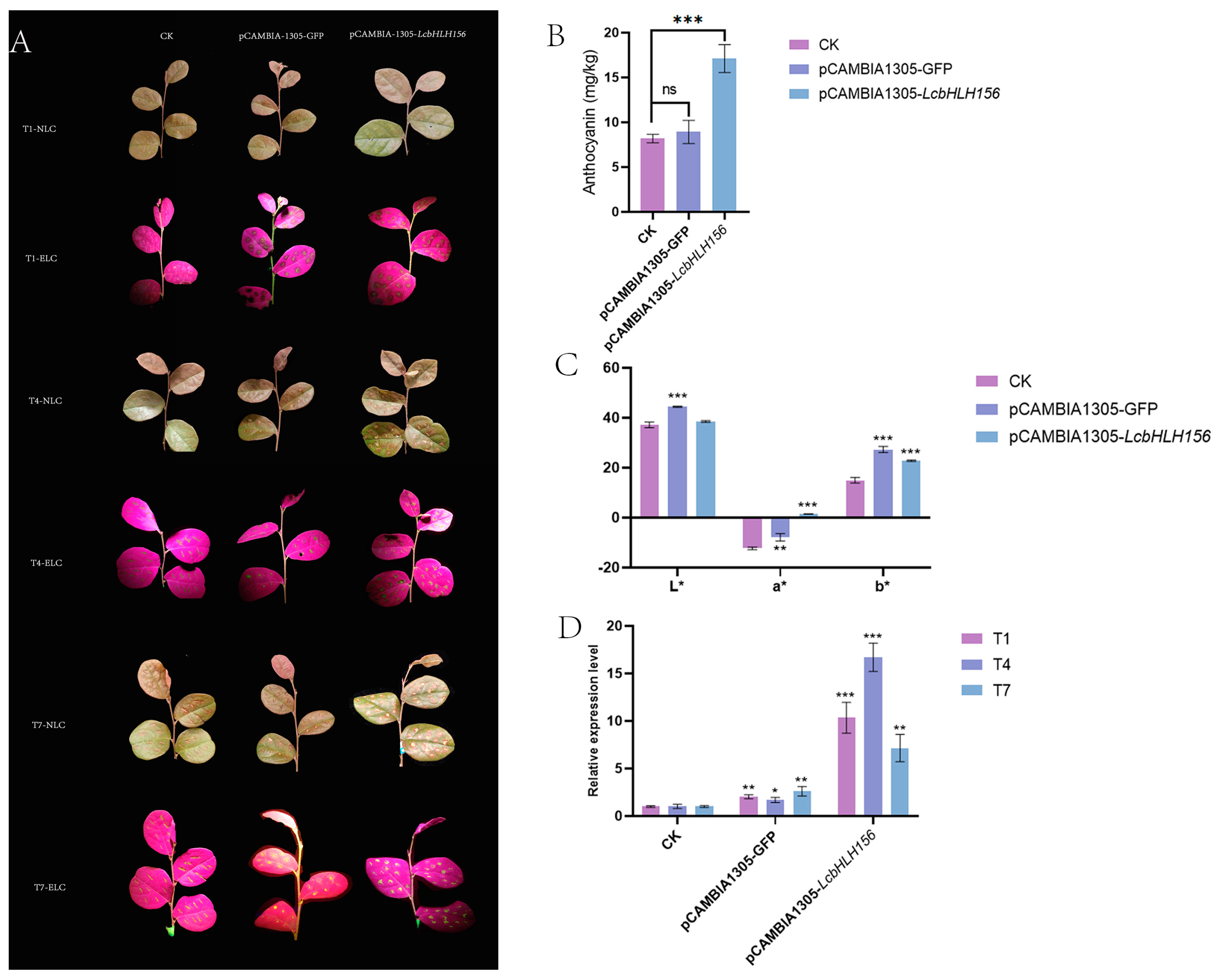 Plants 12 03392 g009 Plants 12 03392 g009