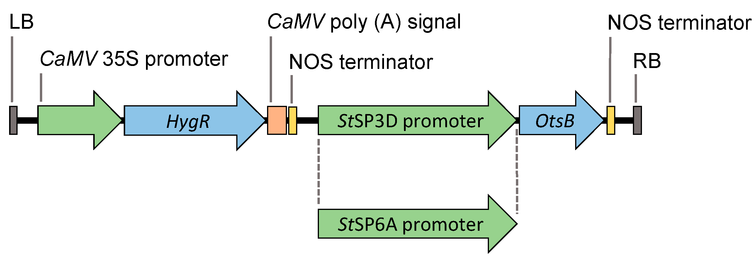 Plants 12 03394 g006 Plants 12 03394 g006