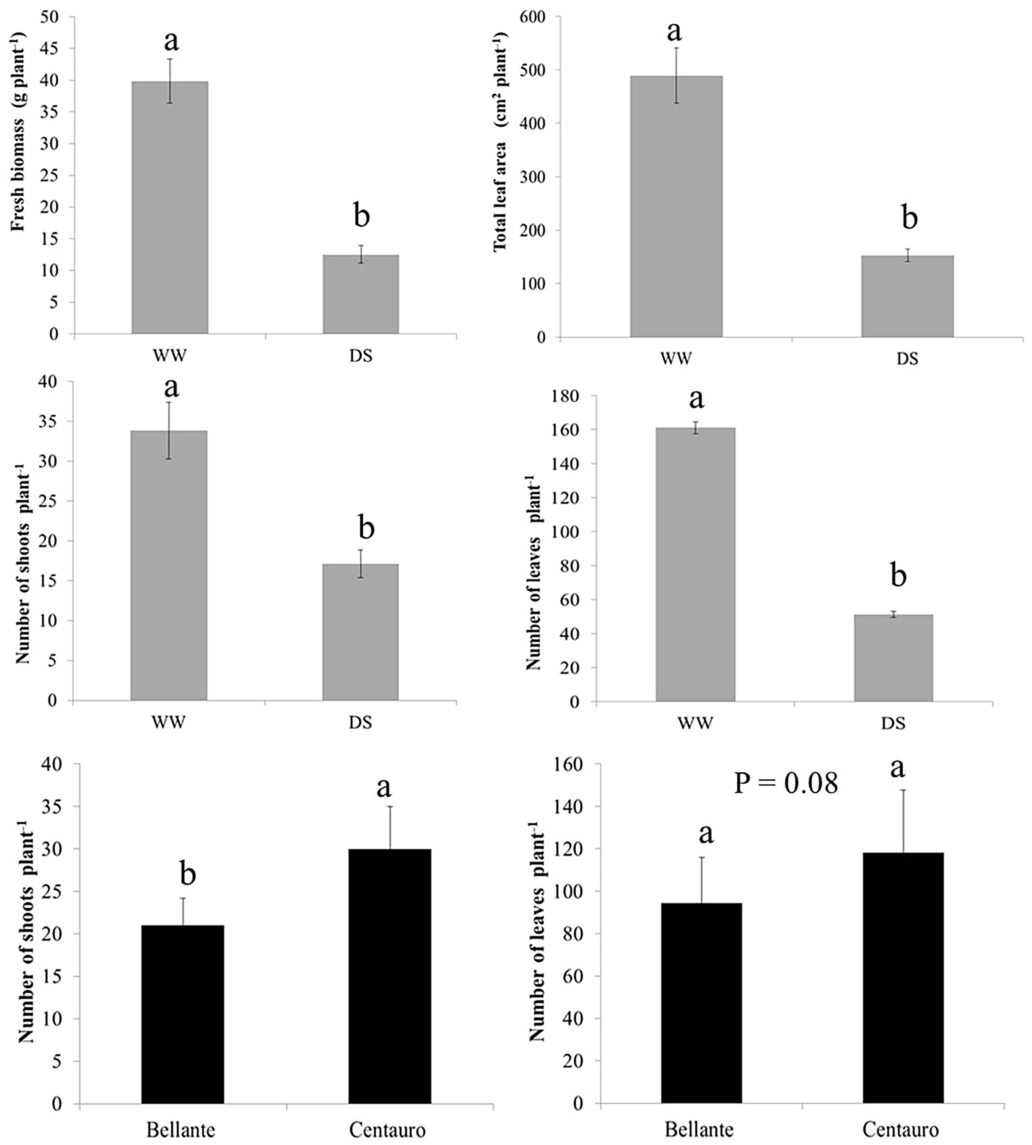 Plants 12 03396 g001