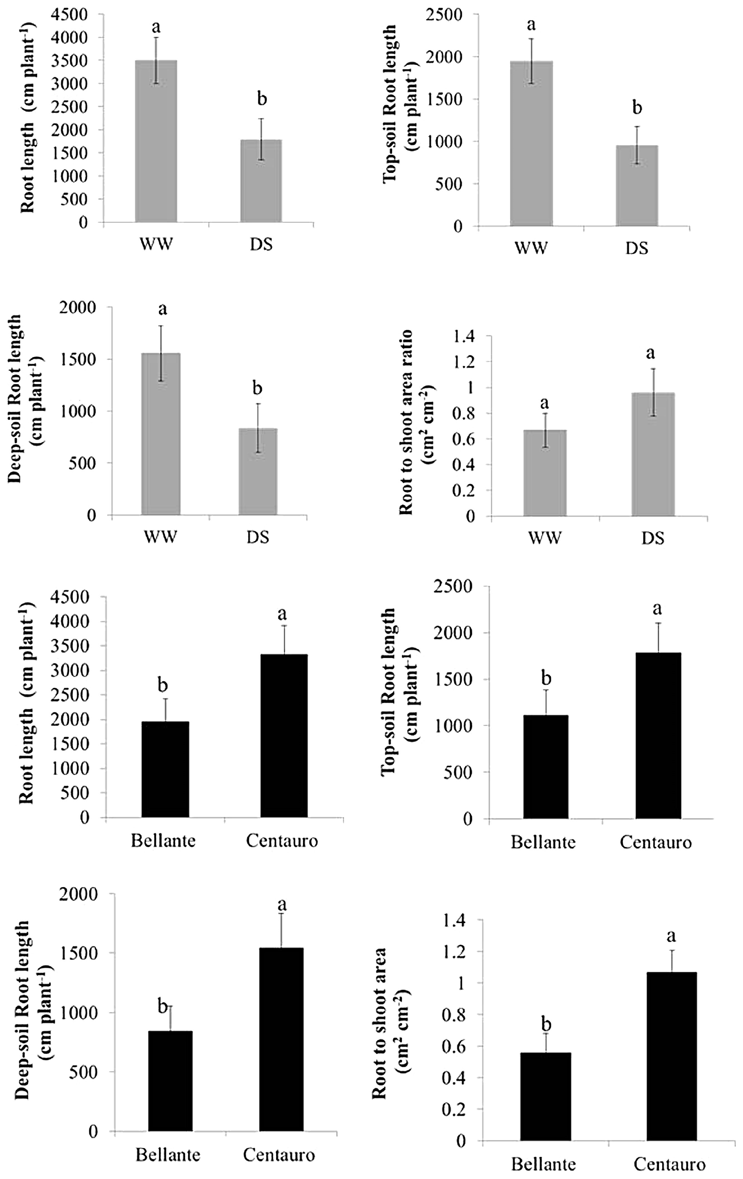 Plants 12 03396 g002