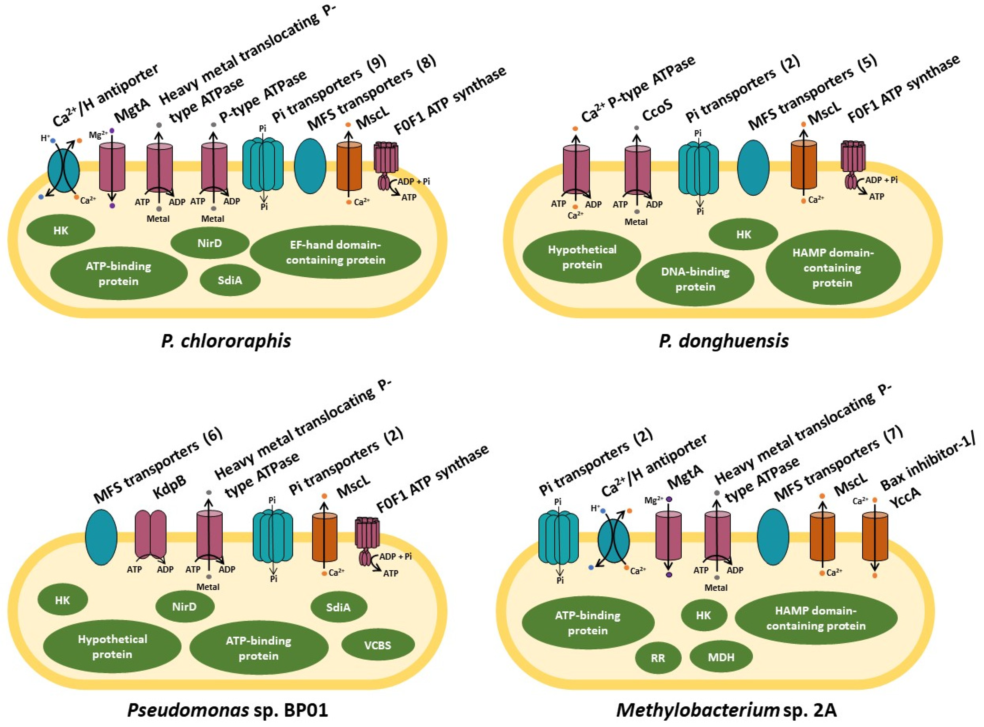 Plants 12 03398 g002 Plants 12 03398 g002