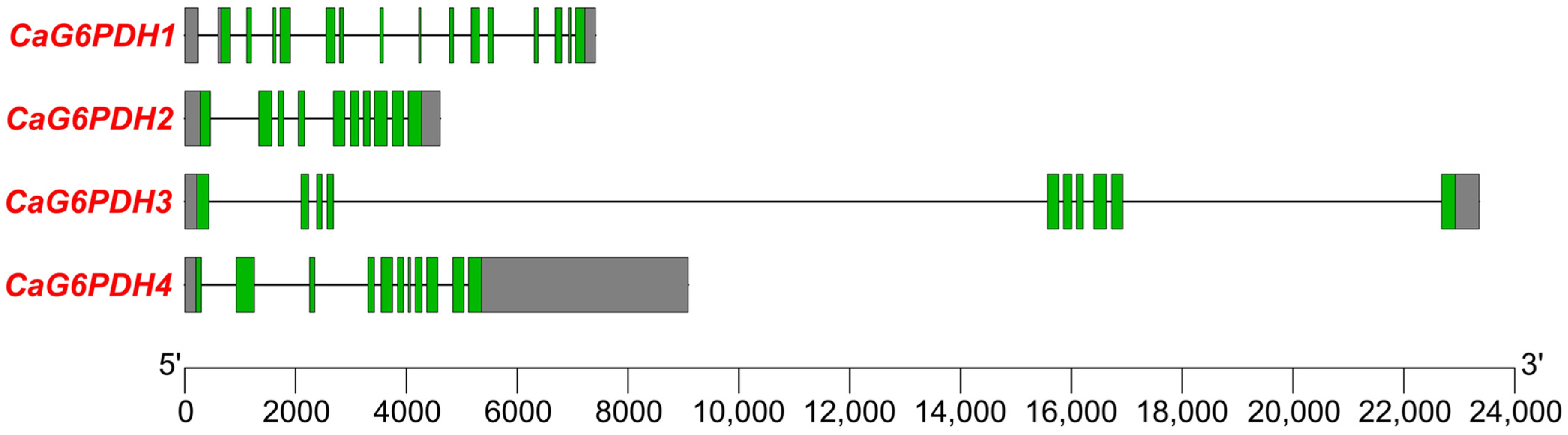 Plants 12 03408 g001