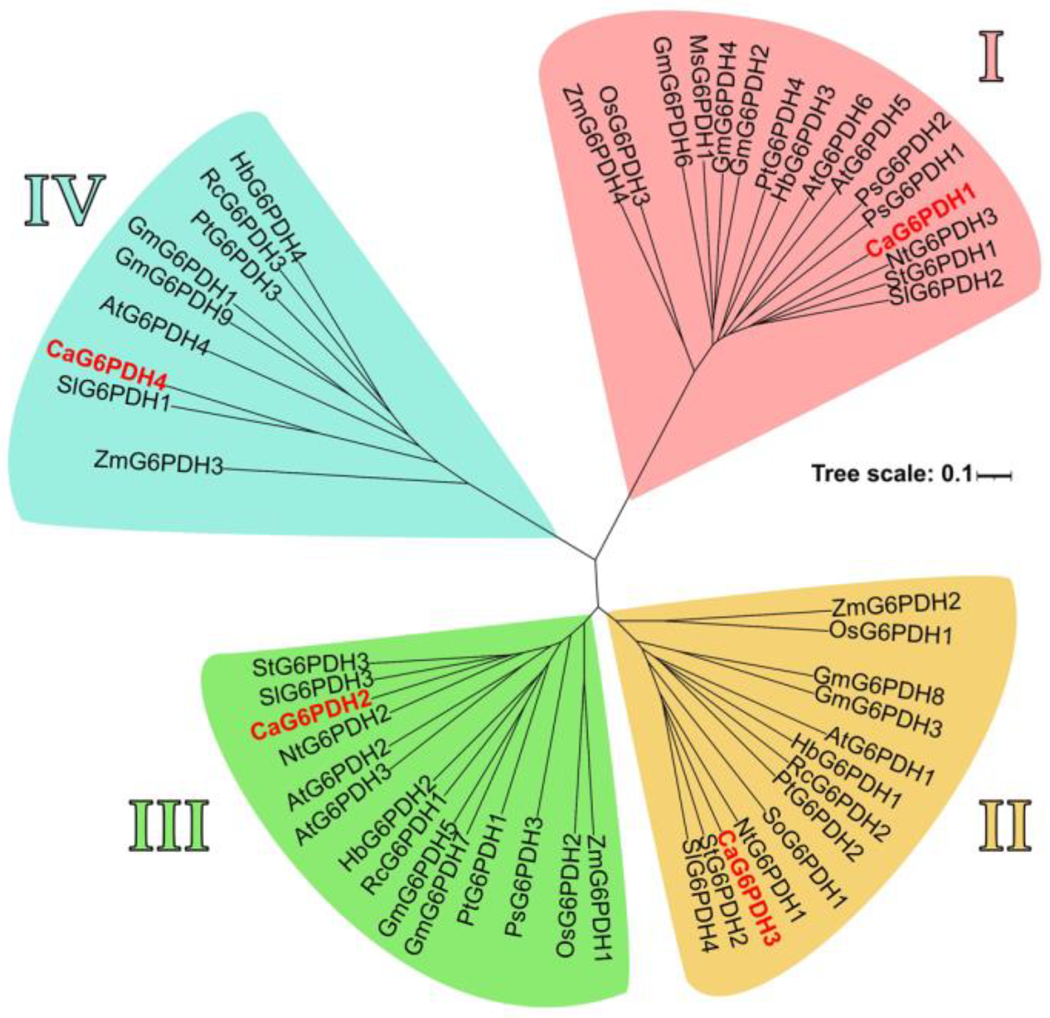 Plants 12 03408 g005