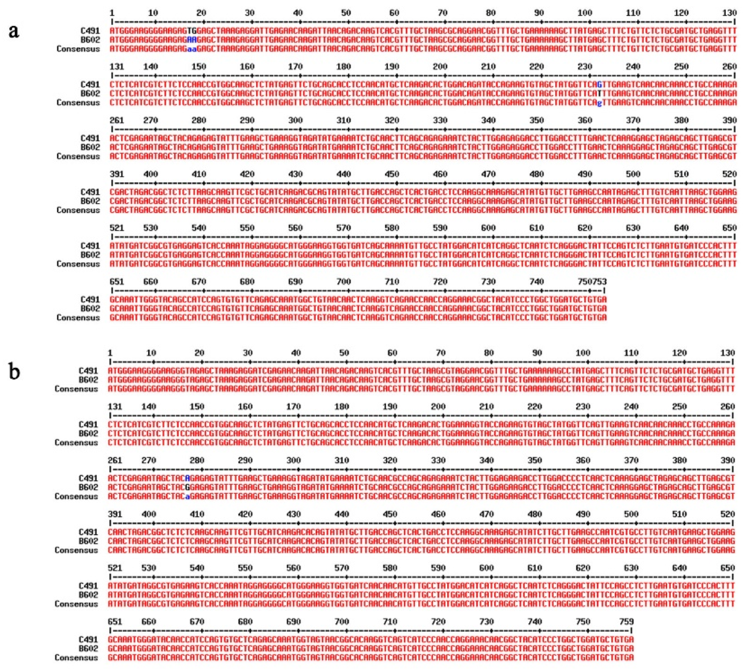 Plants 12 03413 g005