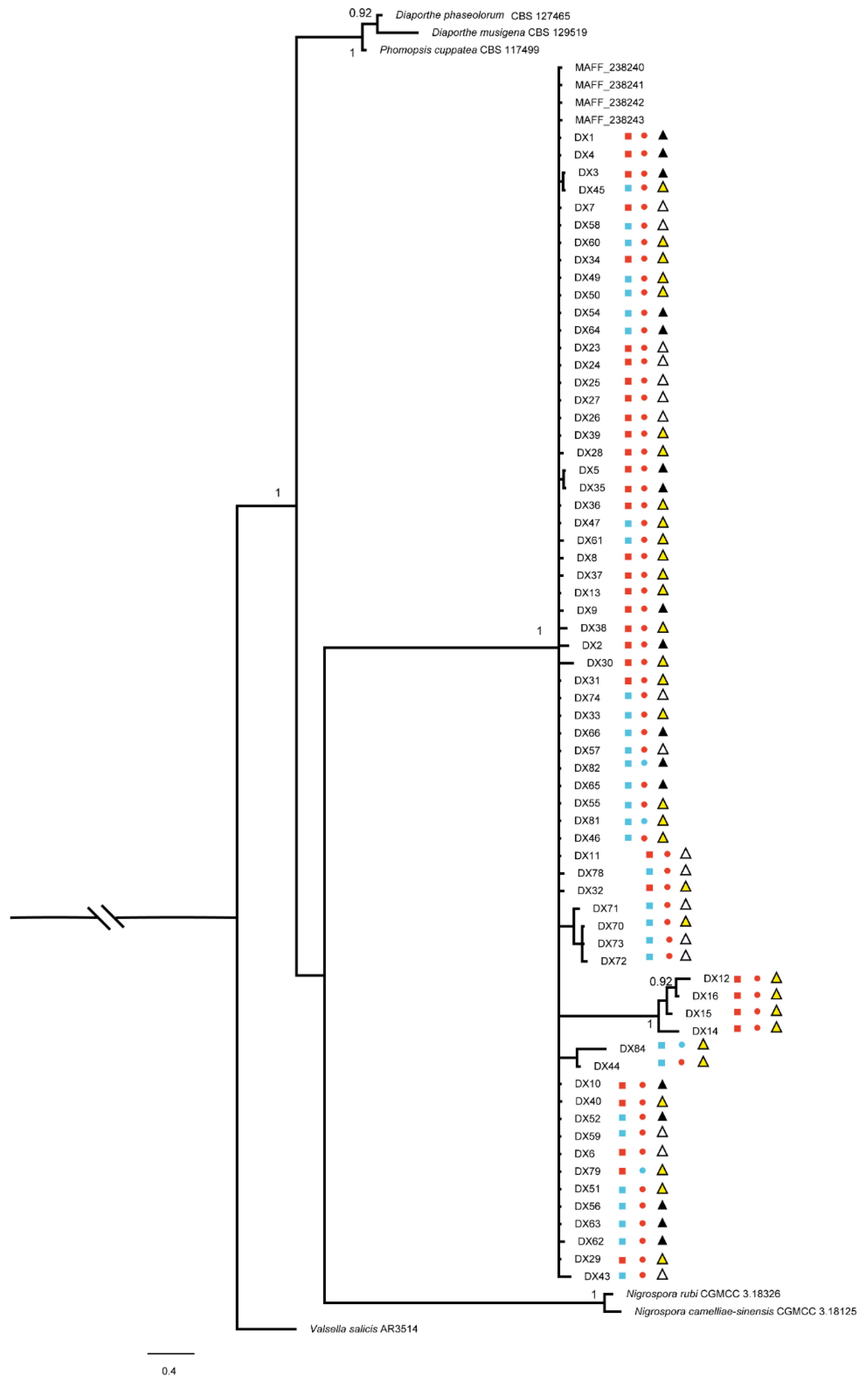 Plants 12 03427 g002