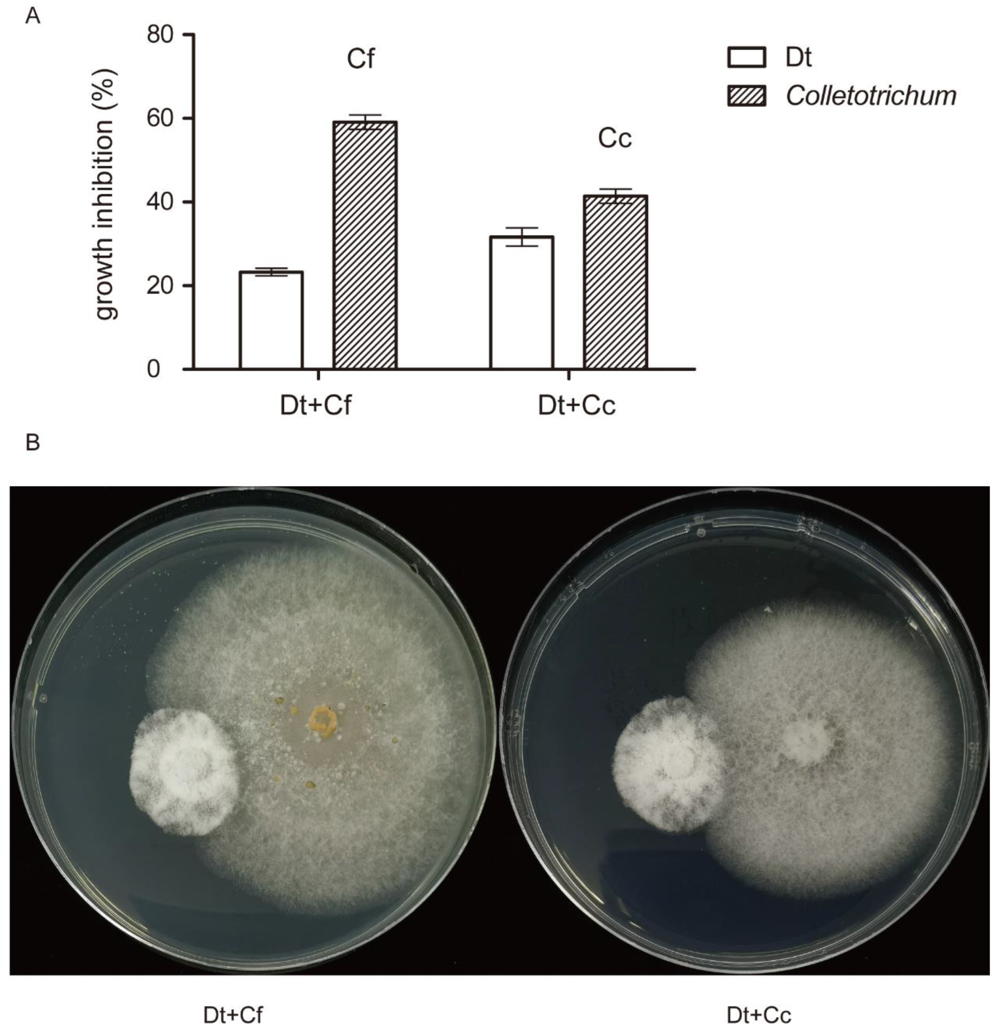 Plants 12 03427 g007