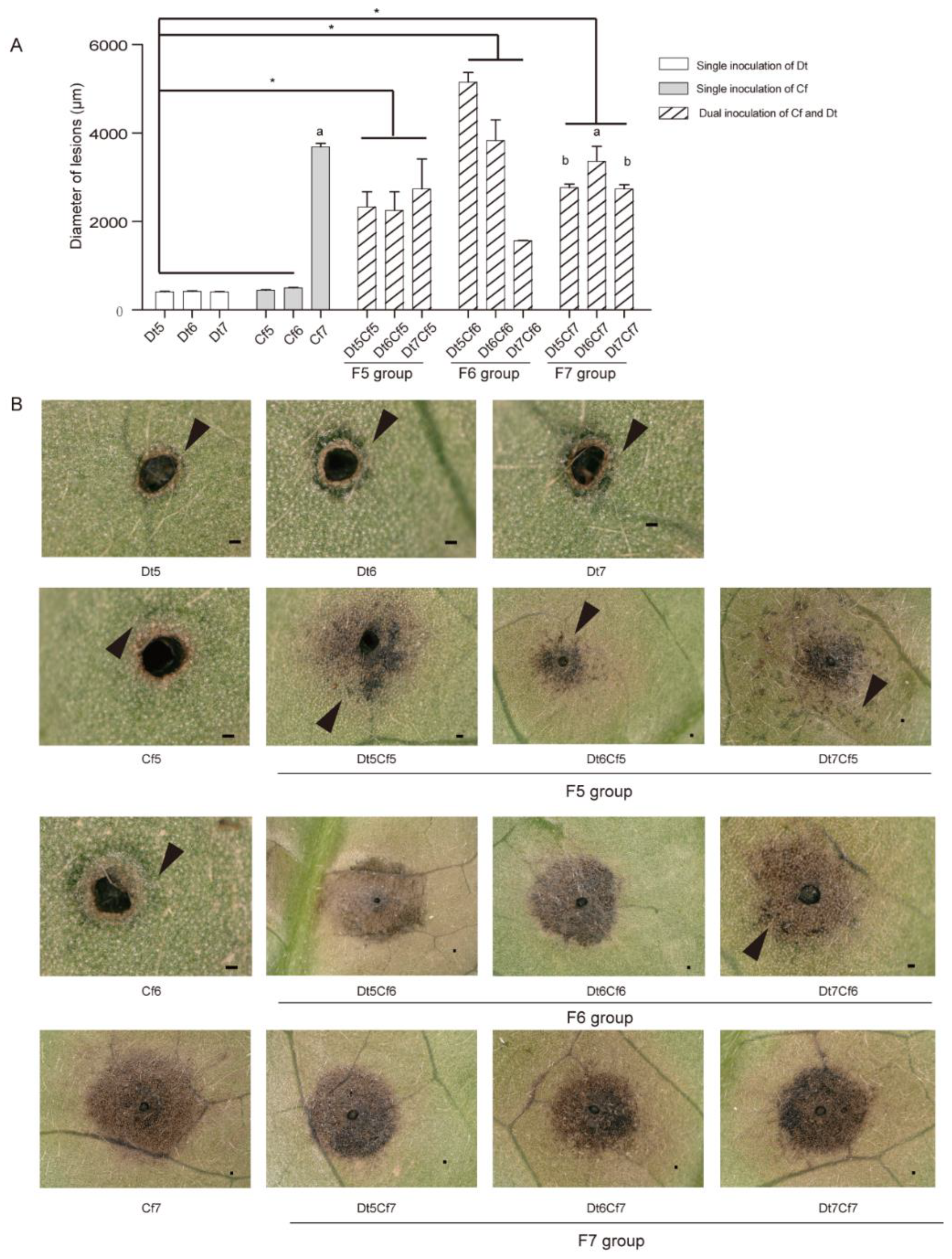 Plants 12 03427 g009